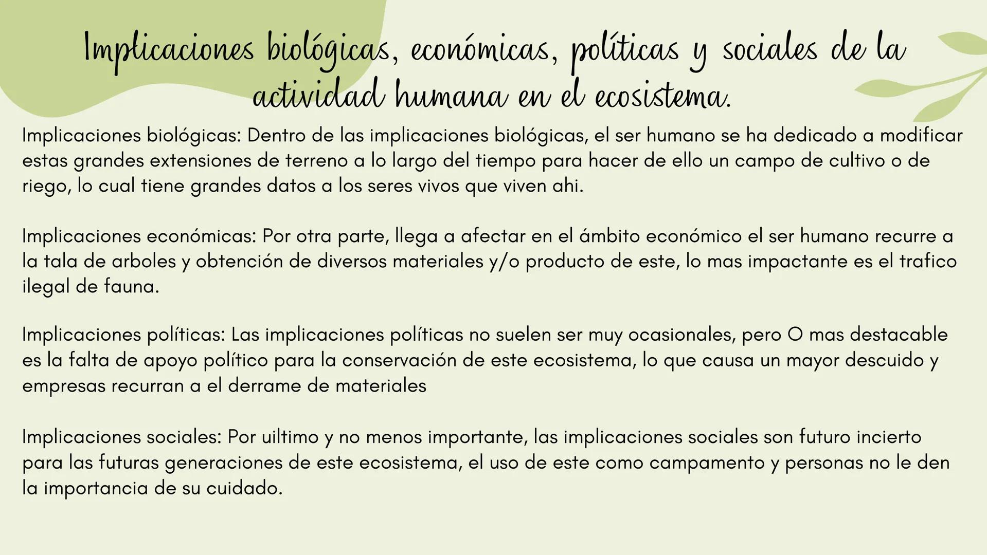 Bosques tropicales # Distribución de los bosques templados en México
Los bosques templados en México representan una parte significativa de