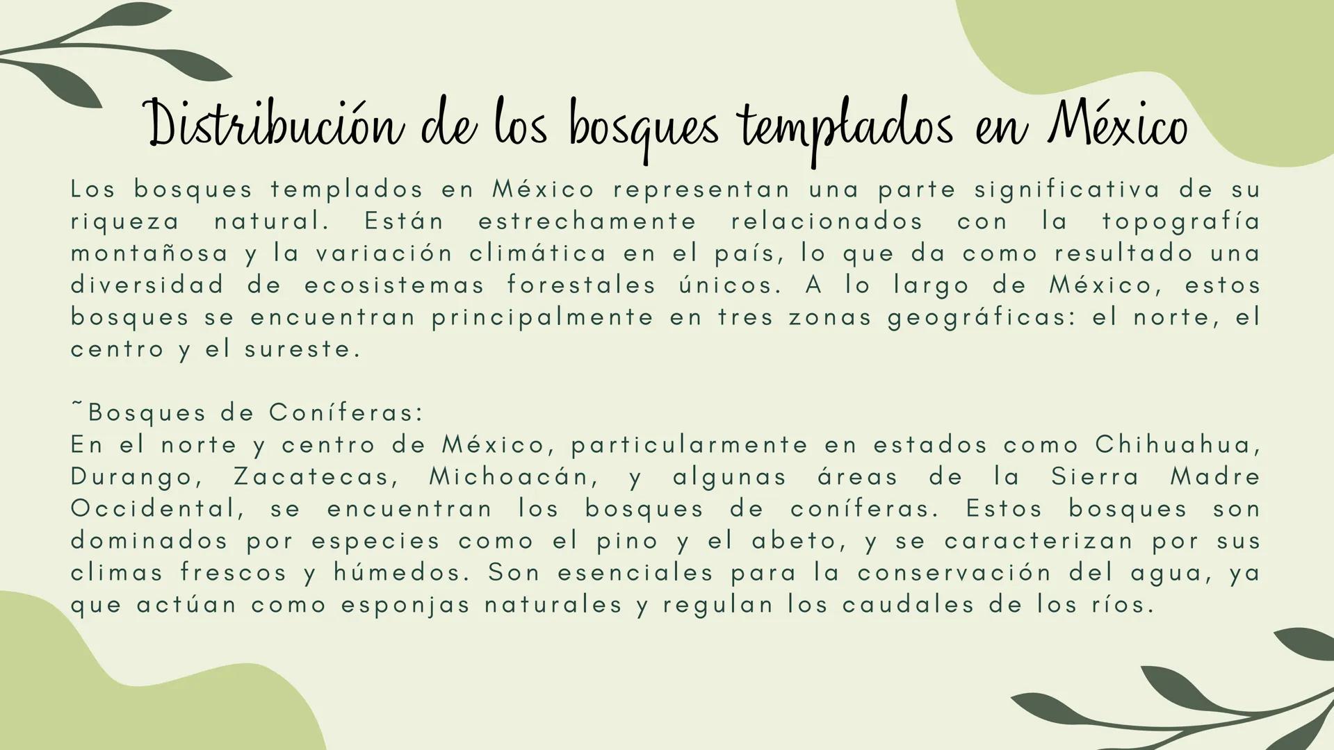 Bosques tropicales # Distribución de los bosques templados en México
Los bosques templados en México representan una parte significativa de