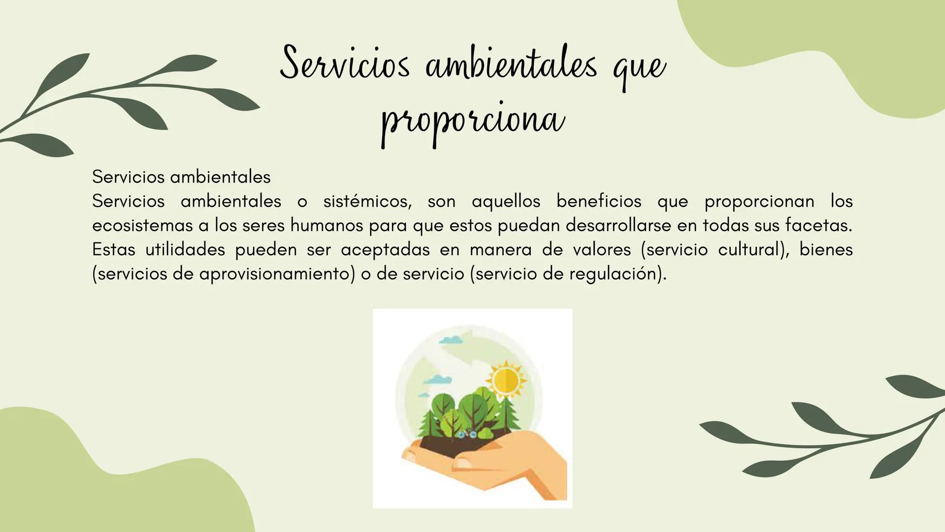 Bosques tropicales # Distribución de los bosques templados en México
Los bosques templados en México representan una parte significativa de