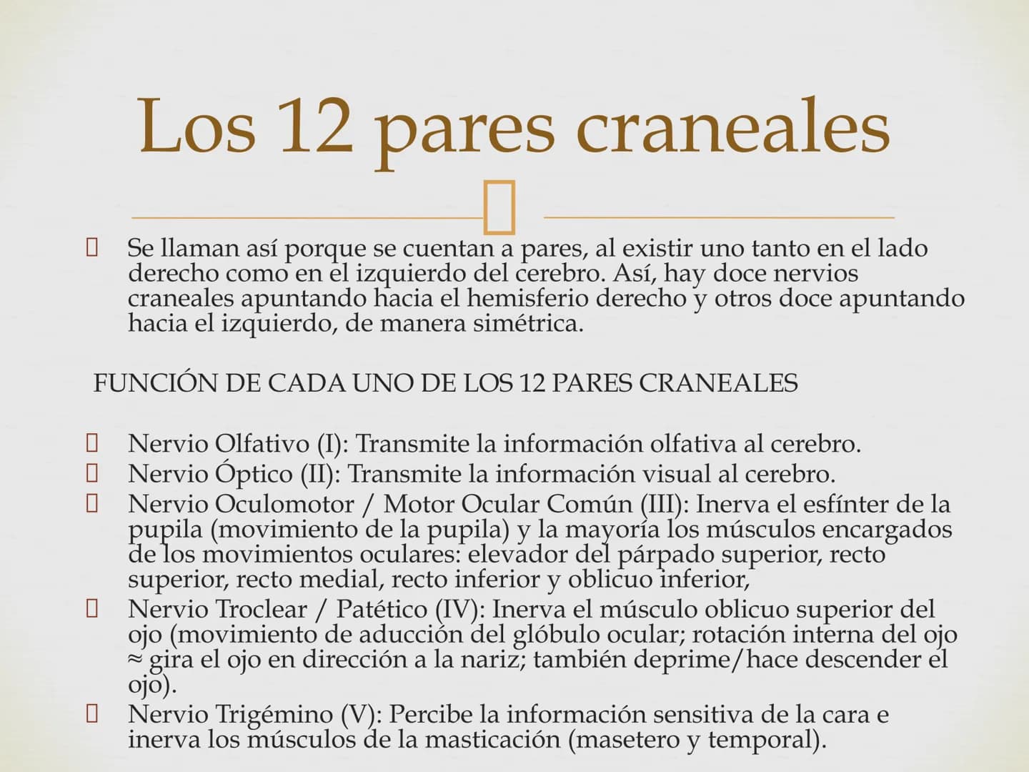# SISTEMA NERVIOSO
Cerebro
Sistema nervioso
Médula espinal
Tronco cerebral
Nervios cervicales
Nervios torácicos
Nervio radial
Nervios lum