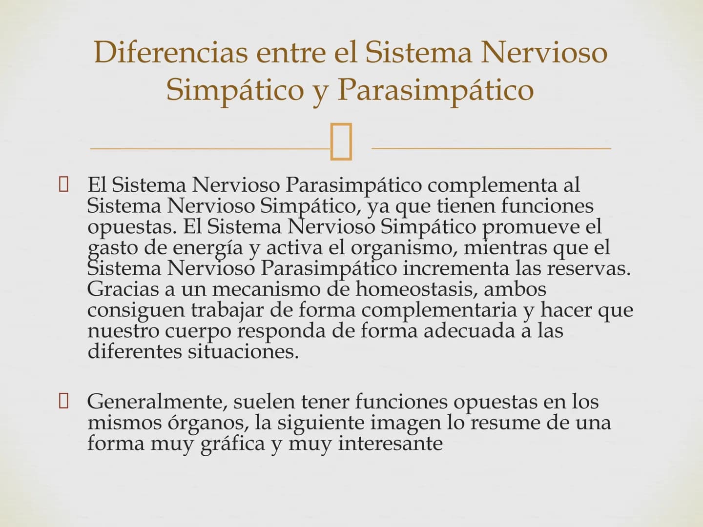# SISTEMA NERVIOSO
Cerebro
Sistema nervioso
Médula espinal
Tronco cerebral
Nervios cervicales
Nervios torácicos
Nervio radial
Nervios lum