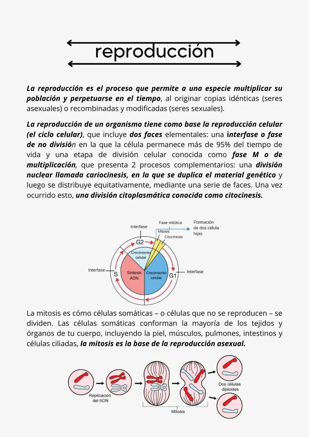--- OCR Start ---
reproducción
La reproducción es el proceso que permite a una especie multiplicar su
población y perpetuarse en el tiempo,