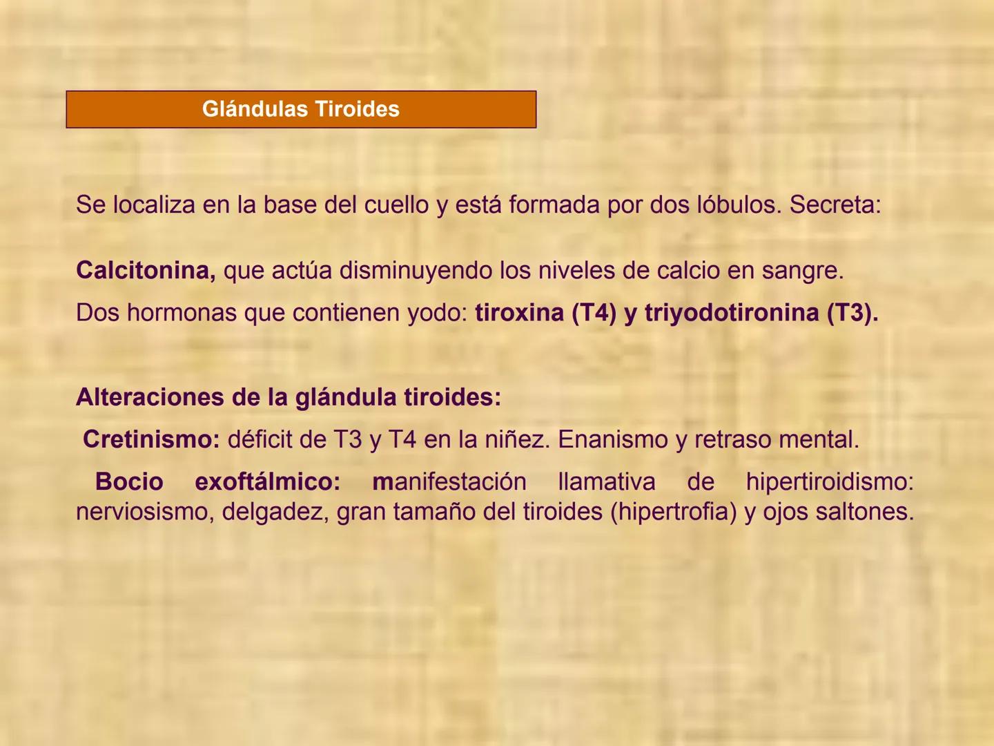 # Sistema endocrino # TÍPOS DE GLÁNDULAS
En nuestro organismo existen tres tipos de glándulas:
Glándulas exocrinas: Vierten su contenido a
