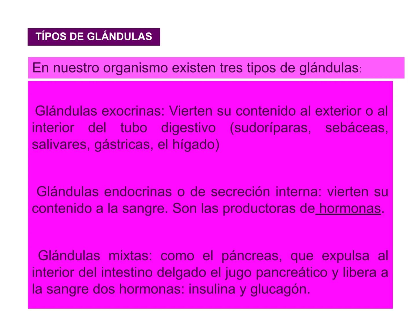 # Sistema endocrino # TÍPOS DE GLÁNDULAS
En nuestro organismo existen tres tipos de glándulas:
Glándulas exocrinas: Vierten su contenido a