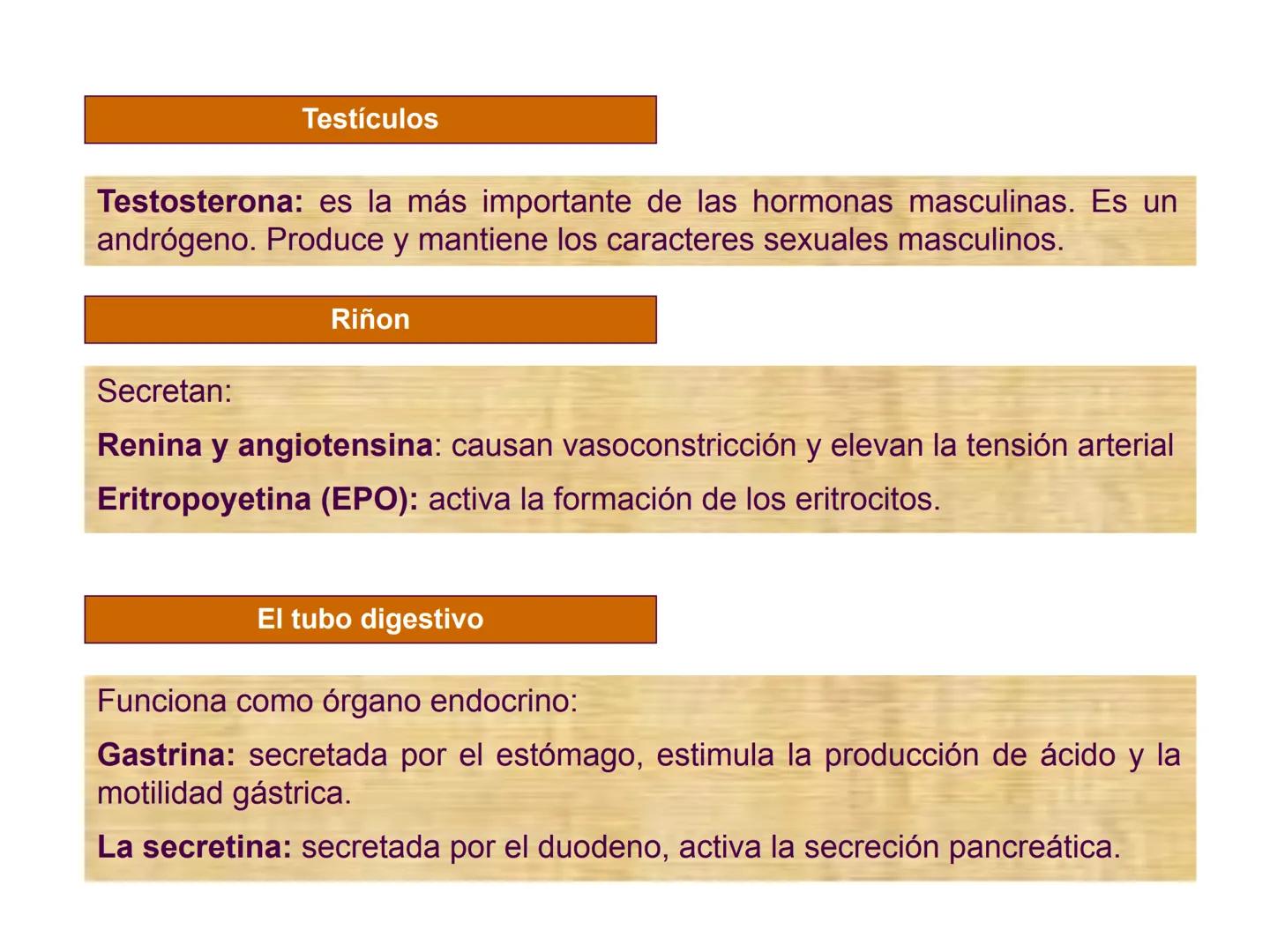 # Sistema endocrino # TÍPOS DE GLÁNDULAS
En nuestro organismo existen tres tipos de glándulas:
Glándulas exocrinas: Vierten su contenido a