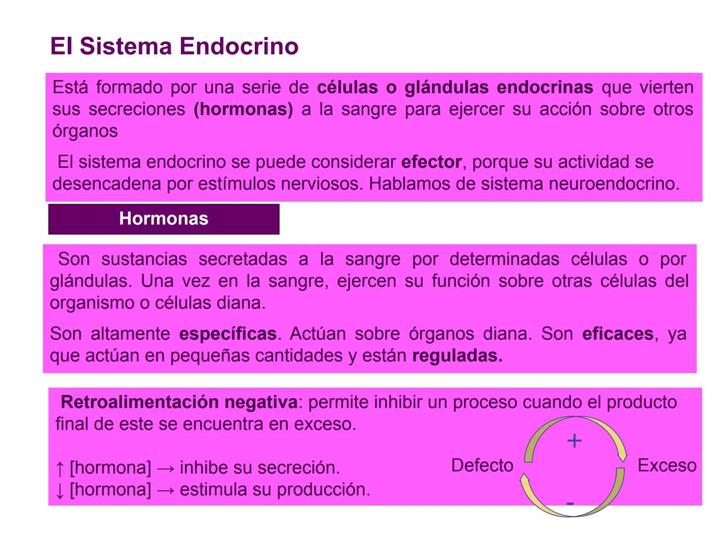 # Sistema endocrino # TÍPOS DE GLÁNDULAS
En nuestro organismo existen tres tipos de glándulas:
Glándulas exocrinas: Vierten su contenido a