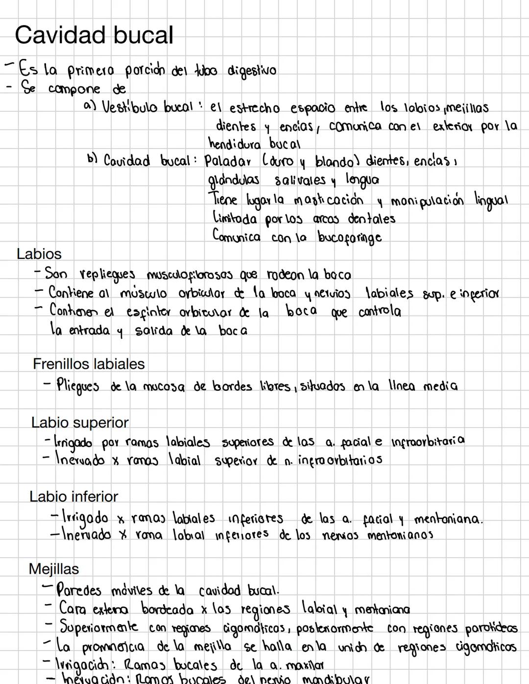 # Cavidad bucal
- Es la primera porción del tubo digestivo
- Se compone de
a) Vestibulo bucal: el estrecho espacio entre los labios mejil
