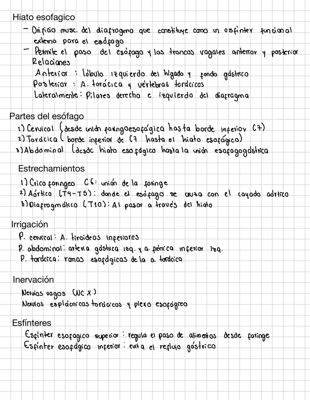 # Esófago
- Mide 25 cm aprox, extendido desde 6C hacia T11
- Conducto cilindrico muscular que une la faringe con el estómago
- Se ubica en