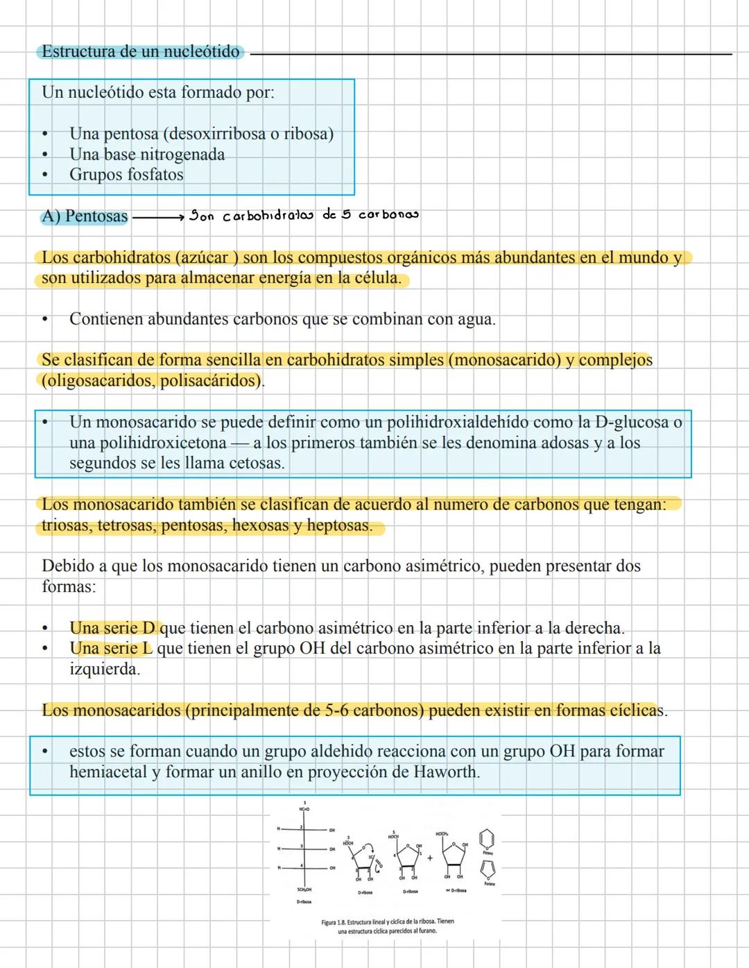 # Ácidos pucleicao.
29-Enera
La información genética es codificada por una molécula polimérica compuesta de cuatro
nucleotidos El ácido de