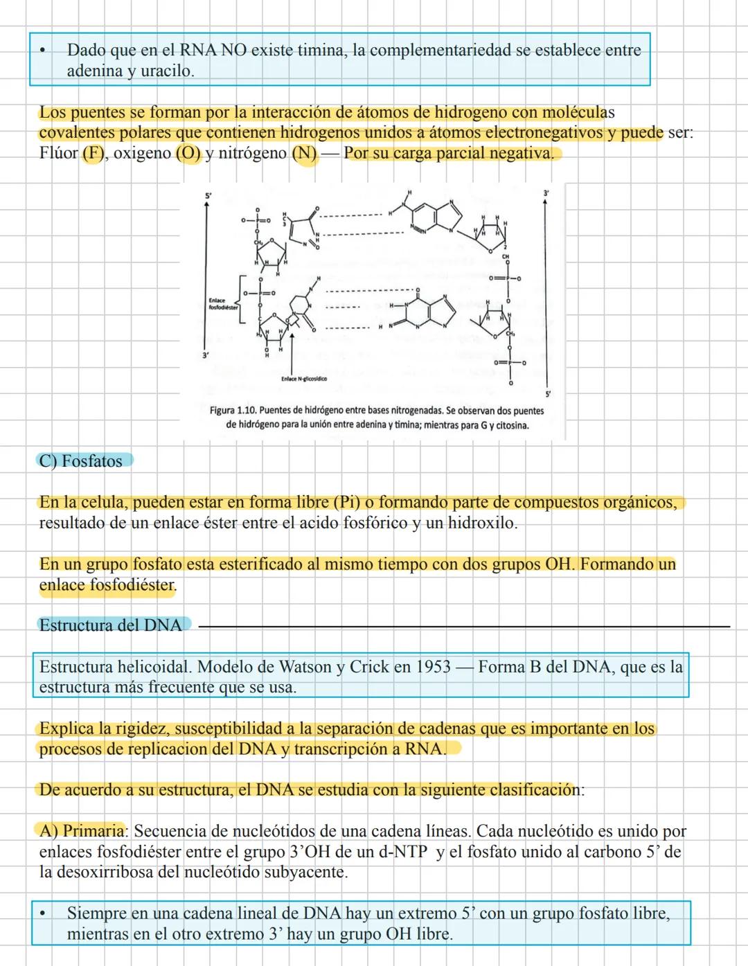 # Ácidos pucleicao.
29-Enera
La información genética es codificada por una molécula polimérica compuesta de cuatro
nucleotidos El ácido de