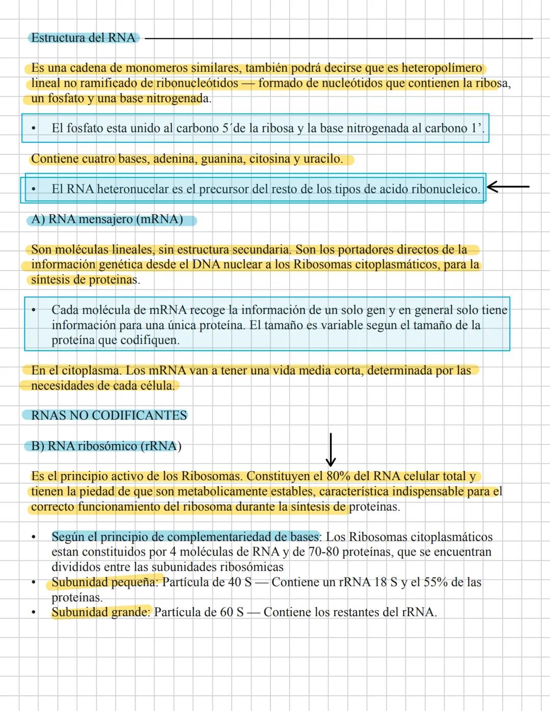 # Ácidos pucleicao.
29-Enera
La información genética es codificada por una molécula polimérica compuesta de cuatro
nucleotidos El ácido de