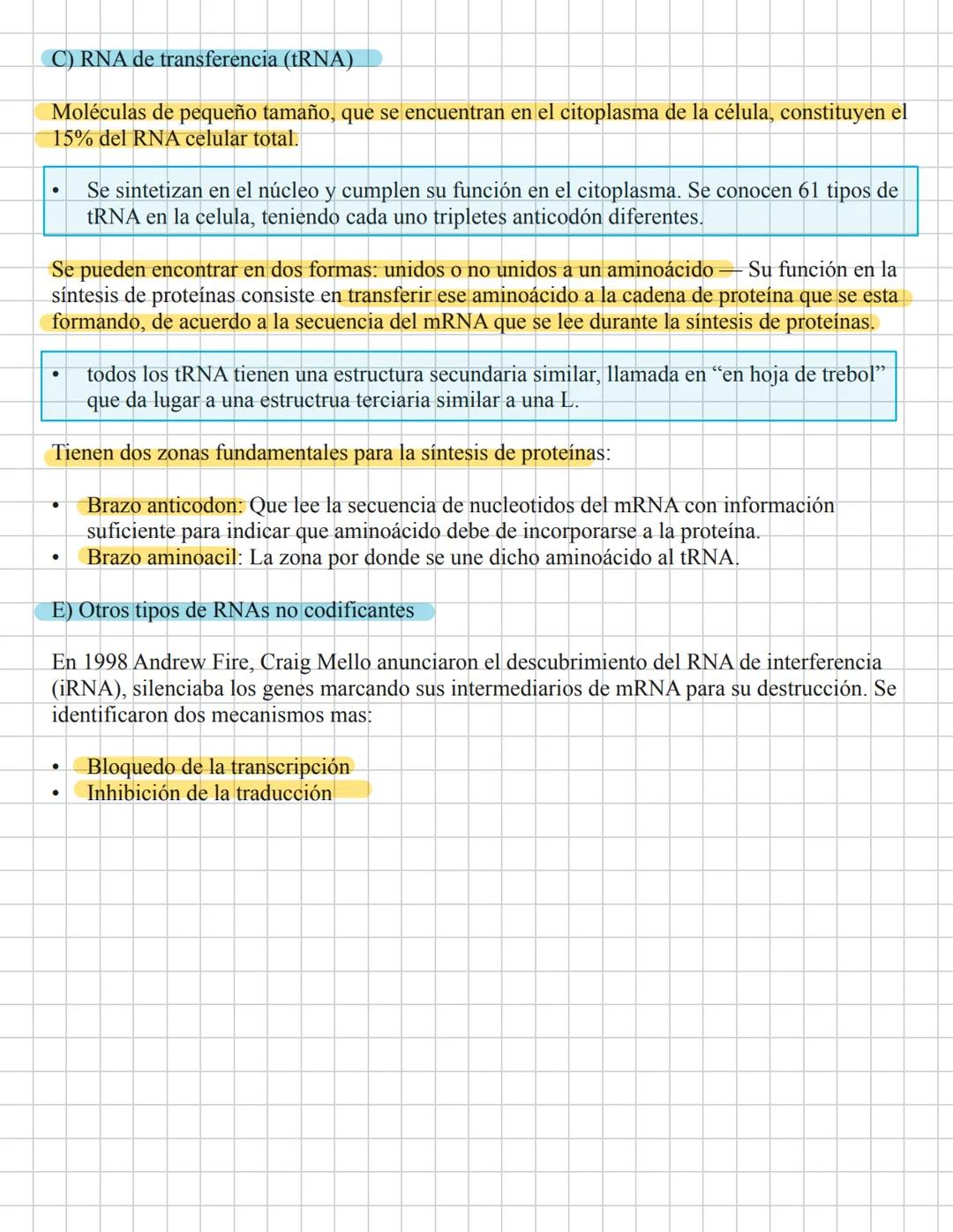 # Ácidos pucleicao.
29-Enera
La información genética es codificada por una molécula polimérica compuesta de cuatro
nucleotidos El ácido de