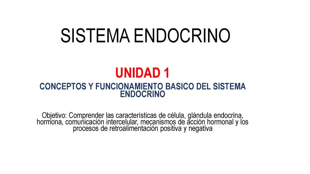 Sistema endocrino