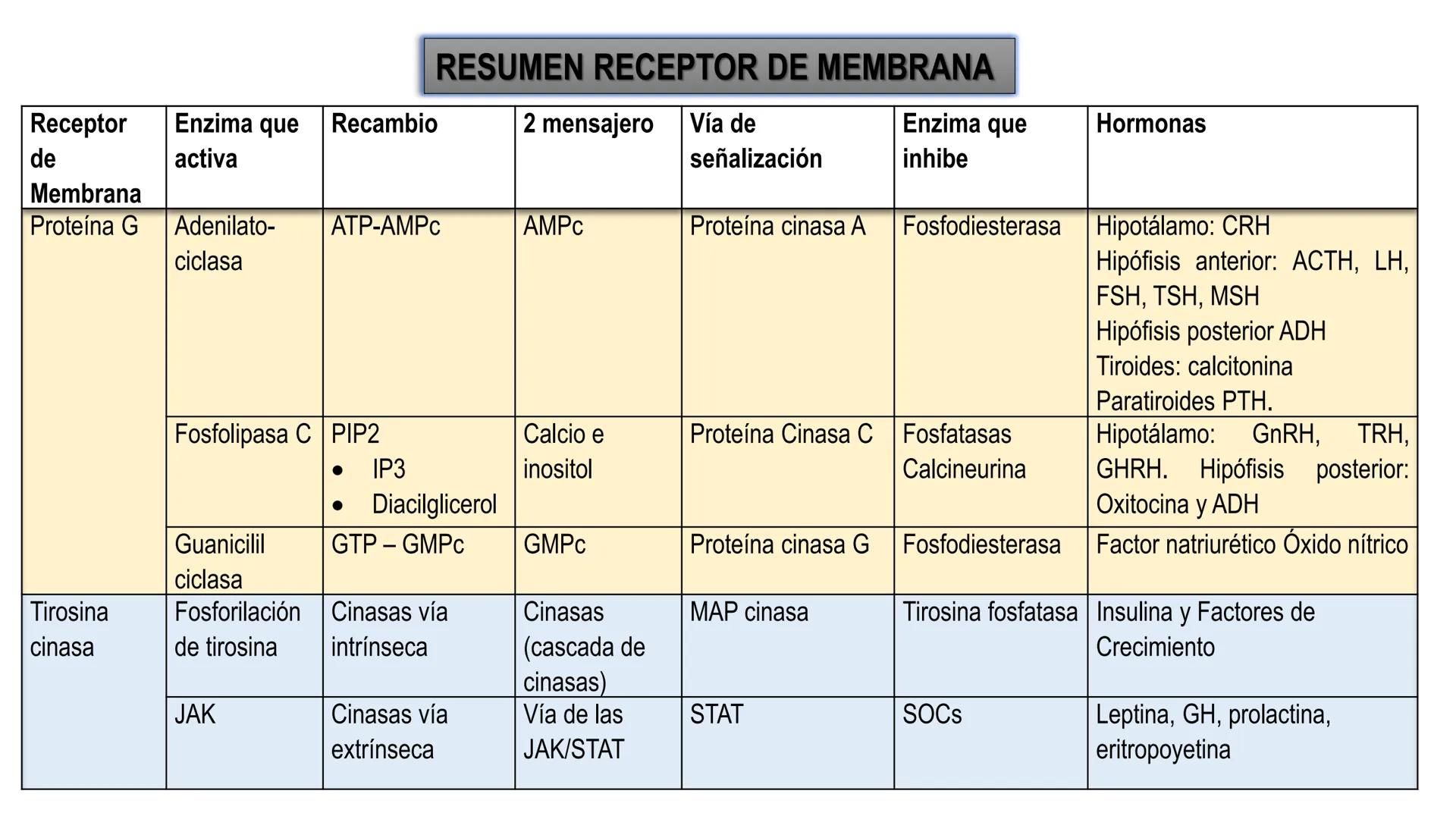 SISTEMA ENDOCRINO
UNIDAD 1
CONCEPTOS Y FUNCIONAMIENTO BASICO DEL SISTEMA
ENDOCRINO
Objetivo: Comprender las características de célula, glánd