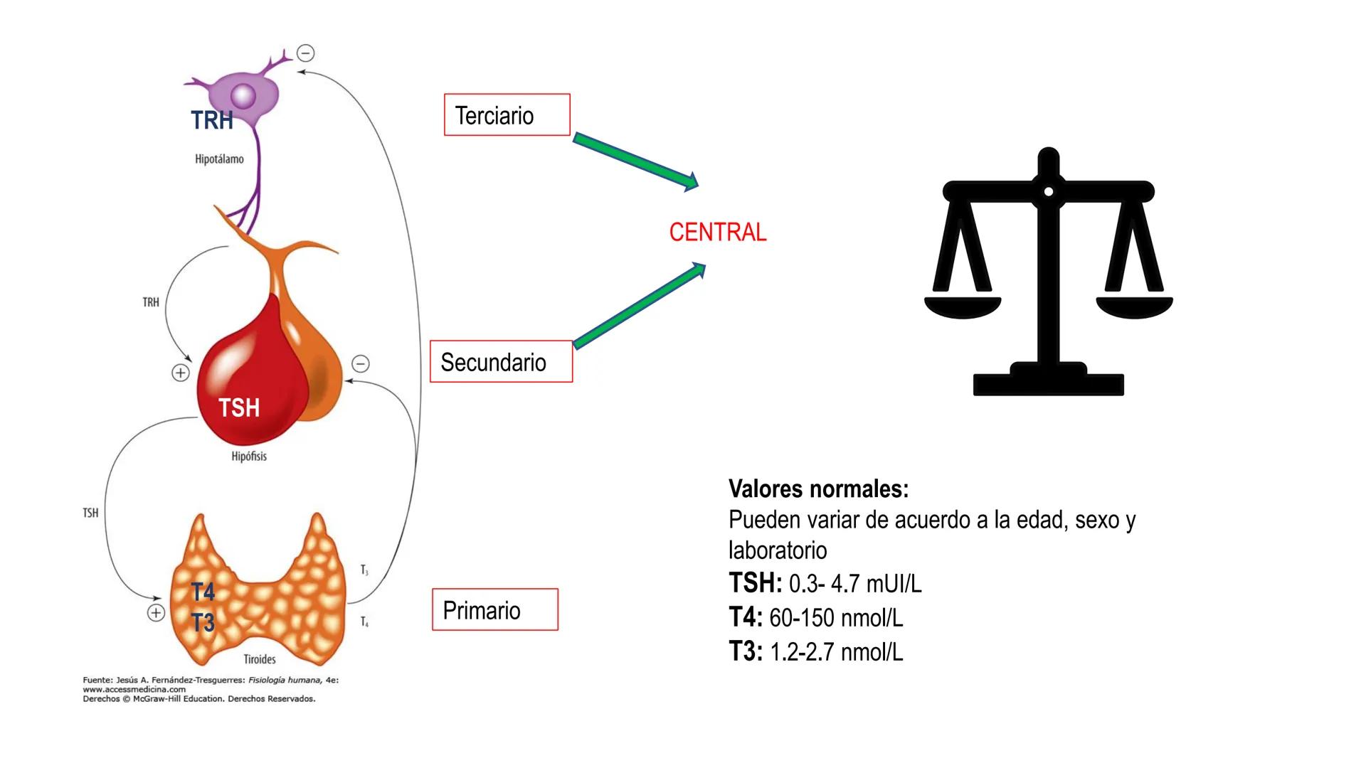 SISTEMA ENDOCRINO
UNIDAD 1
CONCEPTOS Y FUNCIONAMIENTO BASICO DEL SISTEMA
ENDOCRINO
Objetivo: Comprender las características de célula, glánd