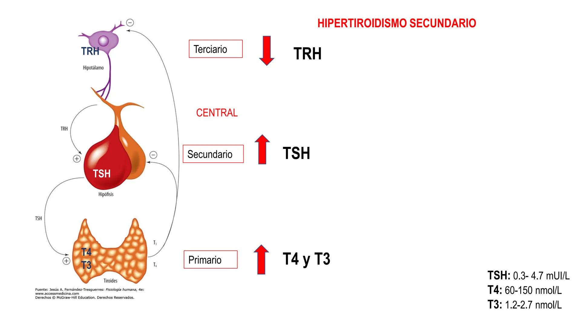 SISTEMA ENDOCRINO
UNIDAD 1
CONCEPTOS Y FUNCIONAMIENTO BASICO DEL SISTEMA
ENDOCRINO
Objetivo: Comprender las características de célula, glánd