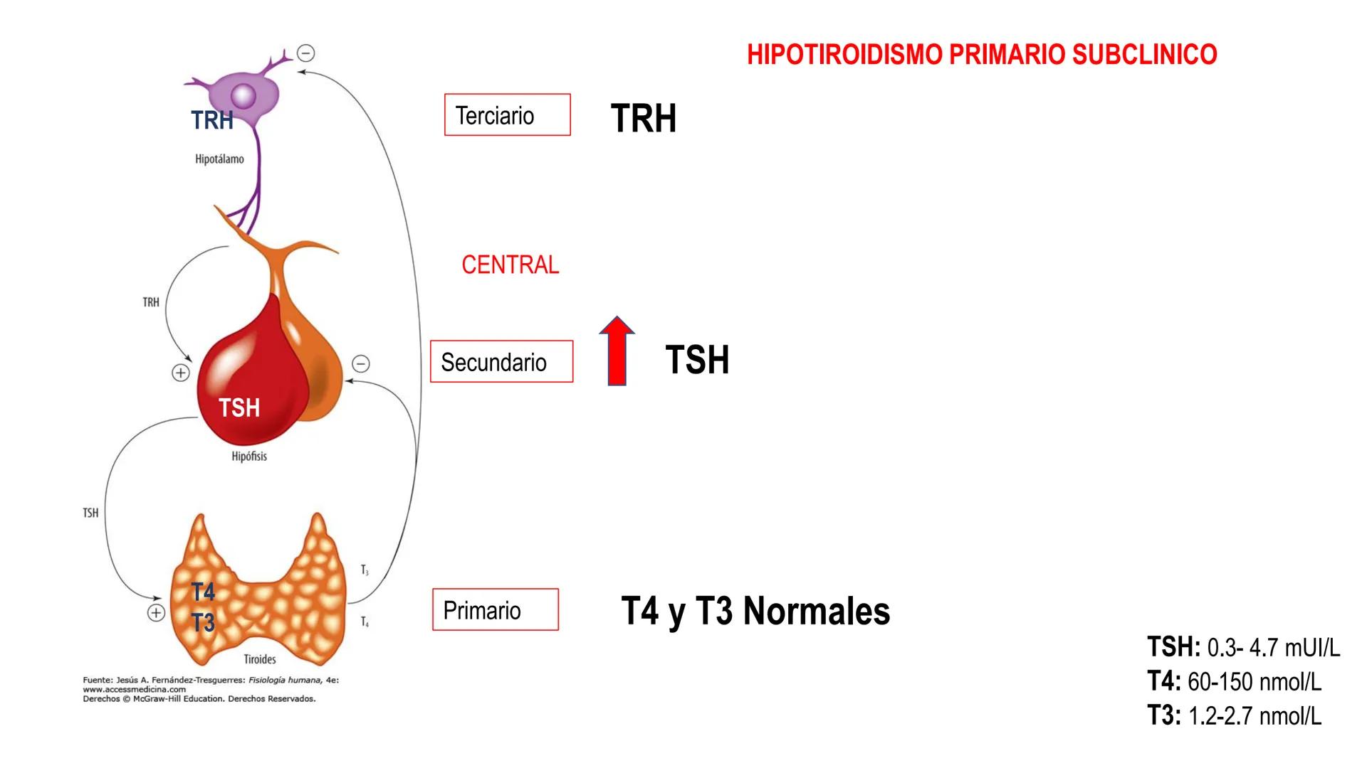 SISTEMA ENDOCRINO
UNIDAD 1
CONCEPTOS Y FUNCIONAMIENTO BASICO DEL SISTEMA
ENDOCRINO
Objetivo: Comprender las características de célula, glánd