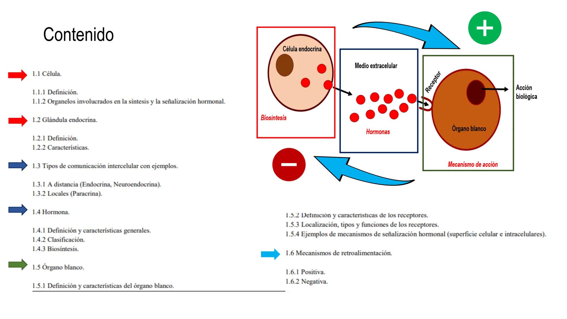 SISTEMA ENDOCRINO
UNIDAD 1
CONCEPTOS Y FUNCIONAMIENTO BASICO DEL SISTEMA
ENDOCRINO
Objetivo: Comprender las características de célula, glánd