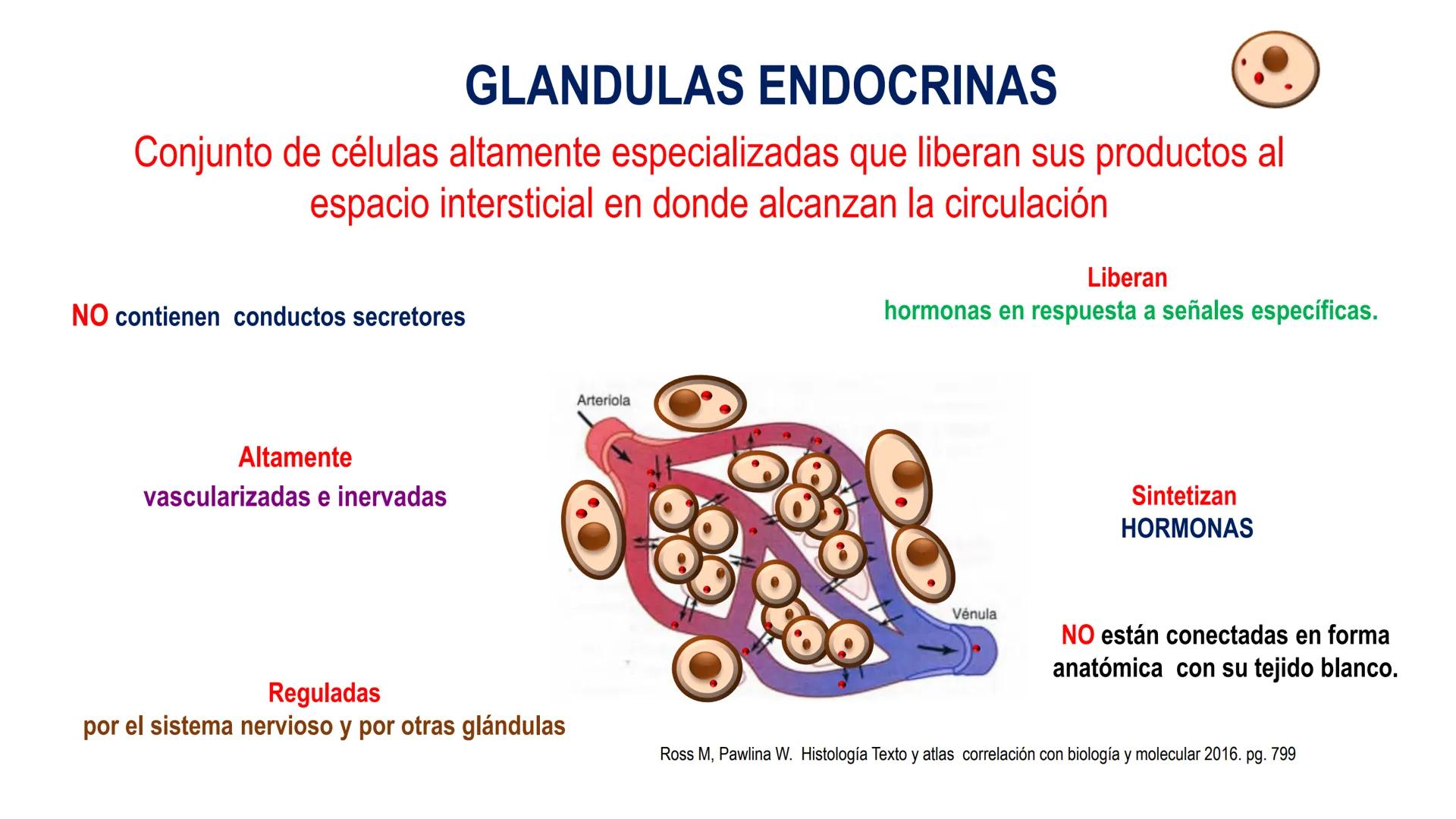 SISTEMA ENDOCRINO
UNIDAD 1
CONCEPTOS Y FUNCIONAMIENTO BASICO DEL SISTEMA
ENDOCRINO
Objetivo: Comprender las características de célula, glánd