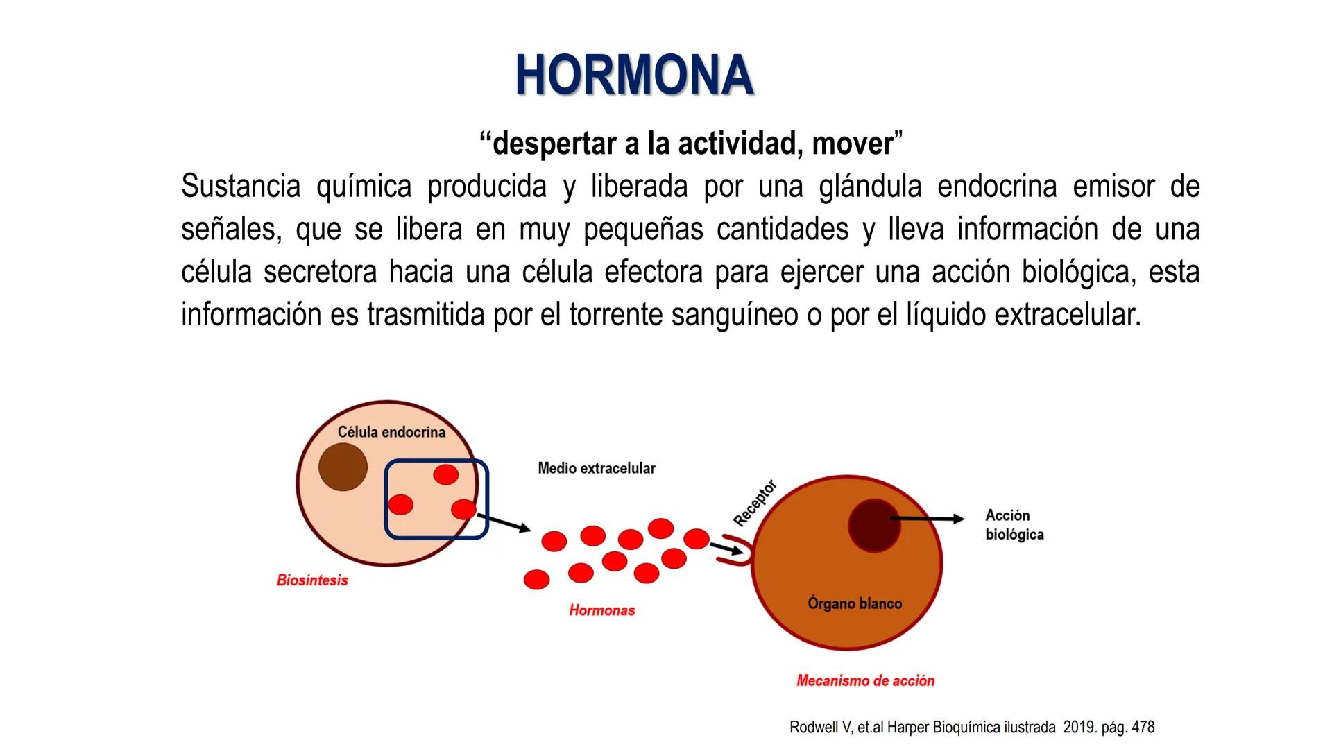 SISTEMA ENDOCRINO
UNIDAD 1
CONCEPTOS Y FUNCIONAMIENTO BASICO DEL SISTEMA
ENDOCRINO
Objetivo: Comprender las características de célula, glánd