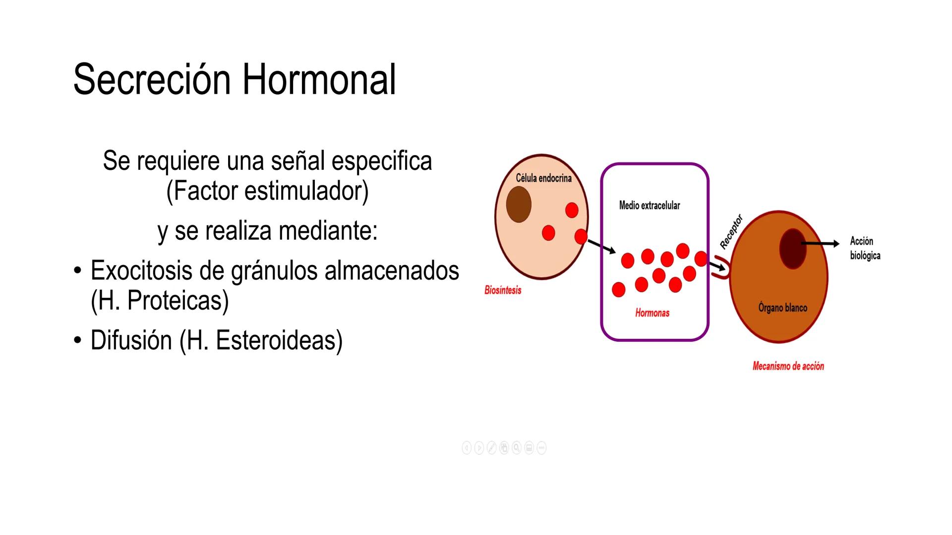 SISTEMA ENDOCRINO
UNIDAD 1
CONCEPTOS Y FUNCIONAMIENTO BASICO DEL SISTEMA
ENDOCRINO
Objetivo: Comprender las características de célula, glánd
