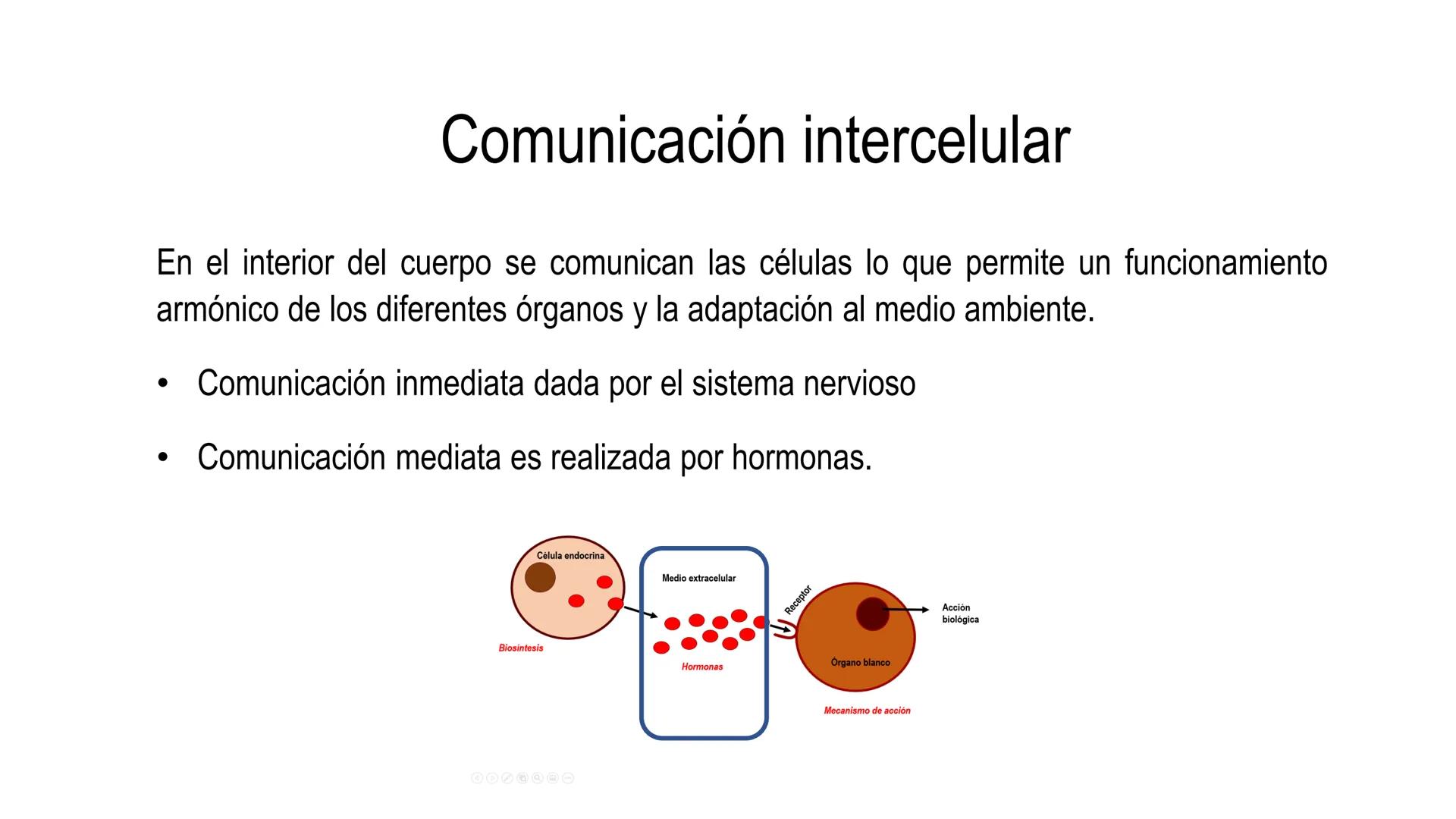 SISTEMA ENDOCRINO
UNIDAD 1
CONCEPTOS Y FUNCIONAMIENTO BASICO DEL SISTEMA
ENDOCRINO
Objetivo: Comprender las características de célula, glánd