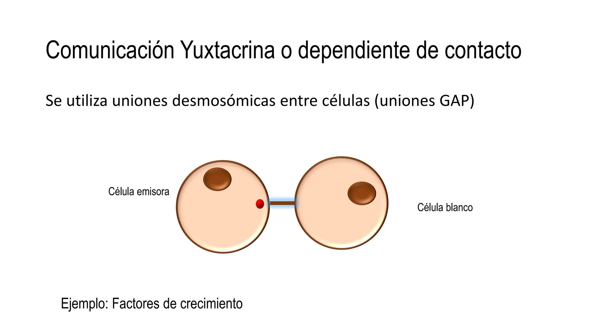 SISTEMA ENDOCRINO
UNIDAD 1
CONCEPTOS Y FUNCIONAMIENTO BASICO DEL SISTEMA
ENDOCRINO
Objetivo: Comprender las características de célula, glánd