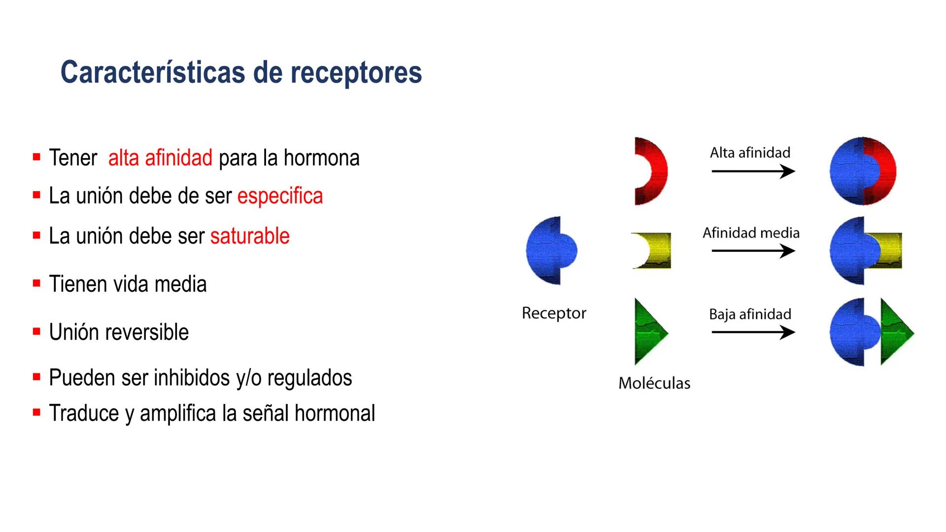 SISTEMA ENDOCRINO
UNIDAD 1
CONCEPTOS Y FUNCIONAMIENTO BASICO DEL SISTEMA
ENDOCRINO
Objetivo: Comprender las características de célula, glánd