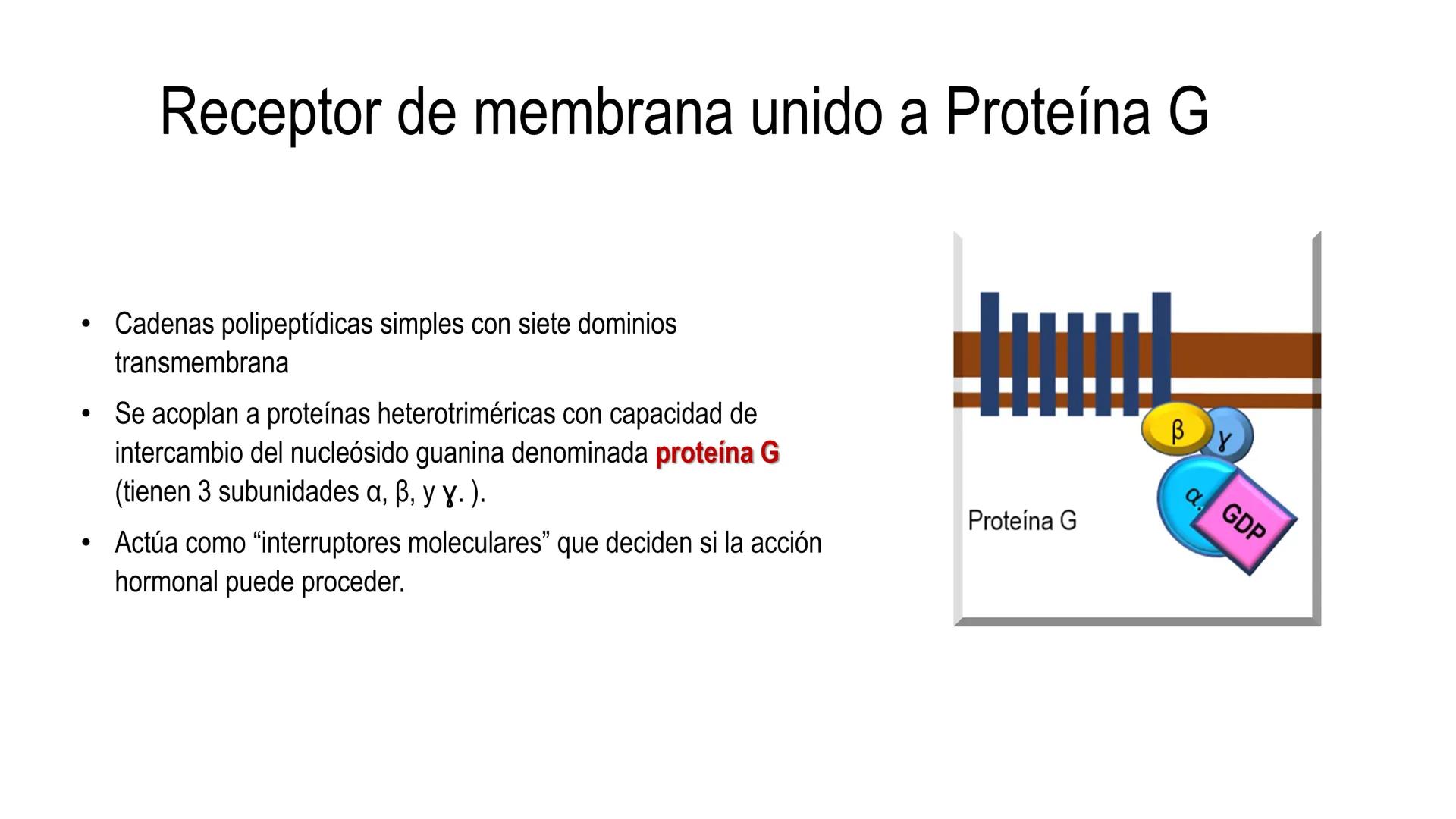 SISTEMA ENDOCRINO
UNIDAD 1
CONCEPTOS Y FUNCIONAMIENTO BASICO DEL SISTEMA
ENDOCRINO
Objetivo: Comprender las características de célula, glánd