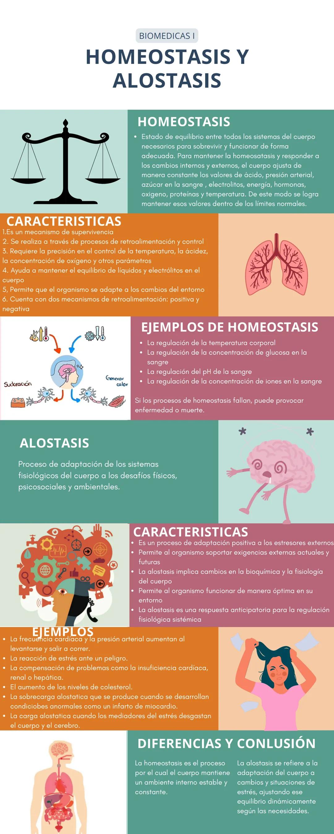 BIOMEDICAS I
# HOMEOSTASIS Y
# ALOSTASIS
## HOMEOSTASIS
* Estado de equilibrio entre todos los sistemas del cuerpo
necesarios para sobrev