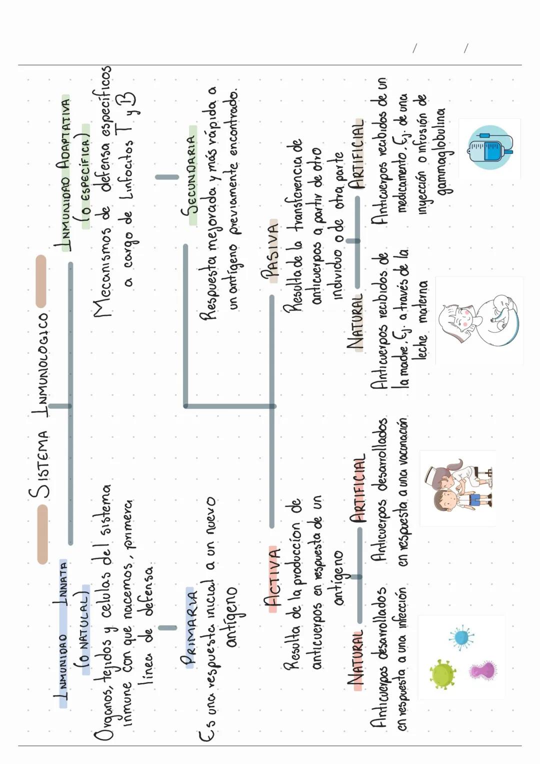 SISTEMA INMUNOLOGICO
INMUNIDAD
INNATA
(O NATULAL)
Organos, tejidos y celulas del sistema
Inmune con que nacemos, primera
linea de defensa.