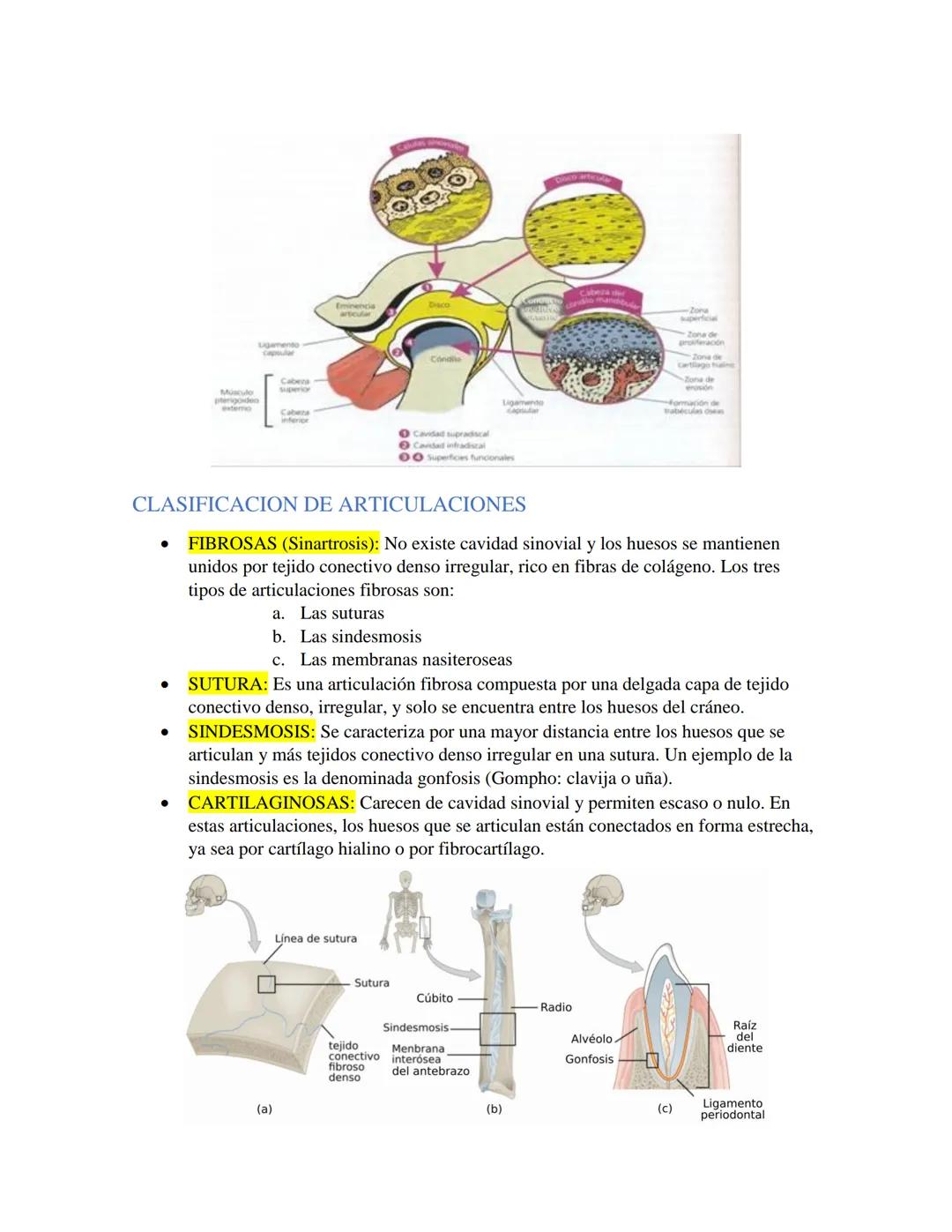 # GUIA DE OCLUSION
- OCLUSION: Es la relación anatómica funcional multifactorial entre los dientes con
los otros componentes, elementos del