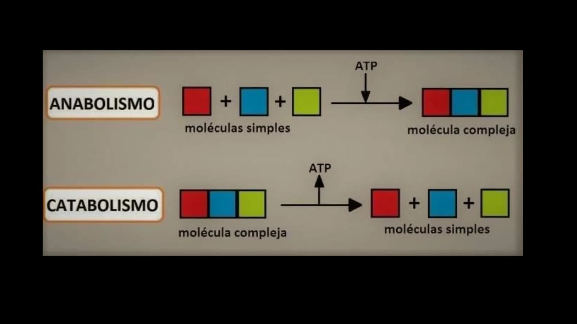 Des
UNIVERSIDAD NACIONAL AUTONOMA B MEXICO
SPI
200
R
שש
Campus Universitario Siglo XXI
Facultad de Médicina
SIGLO XXI
2.1.1.5 ΜΕΤΑBOLISMO EN