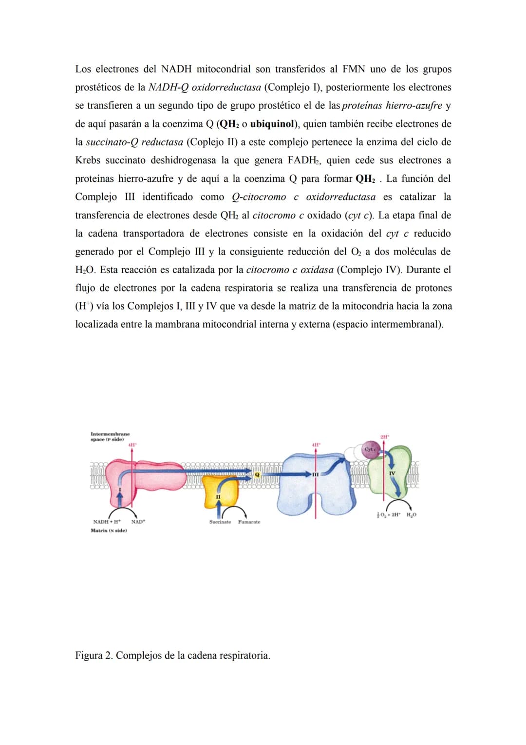 # METABOLISMO DE CARBOHIDRATOS
La necesidad de un aporte constante de energía a la célula se debe a que ella lo requiere
para realizar vari