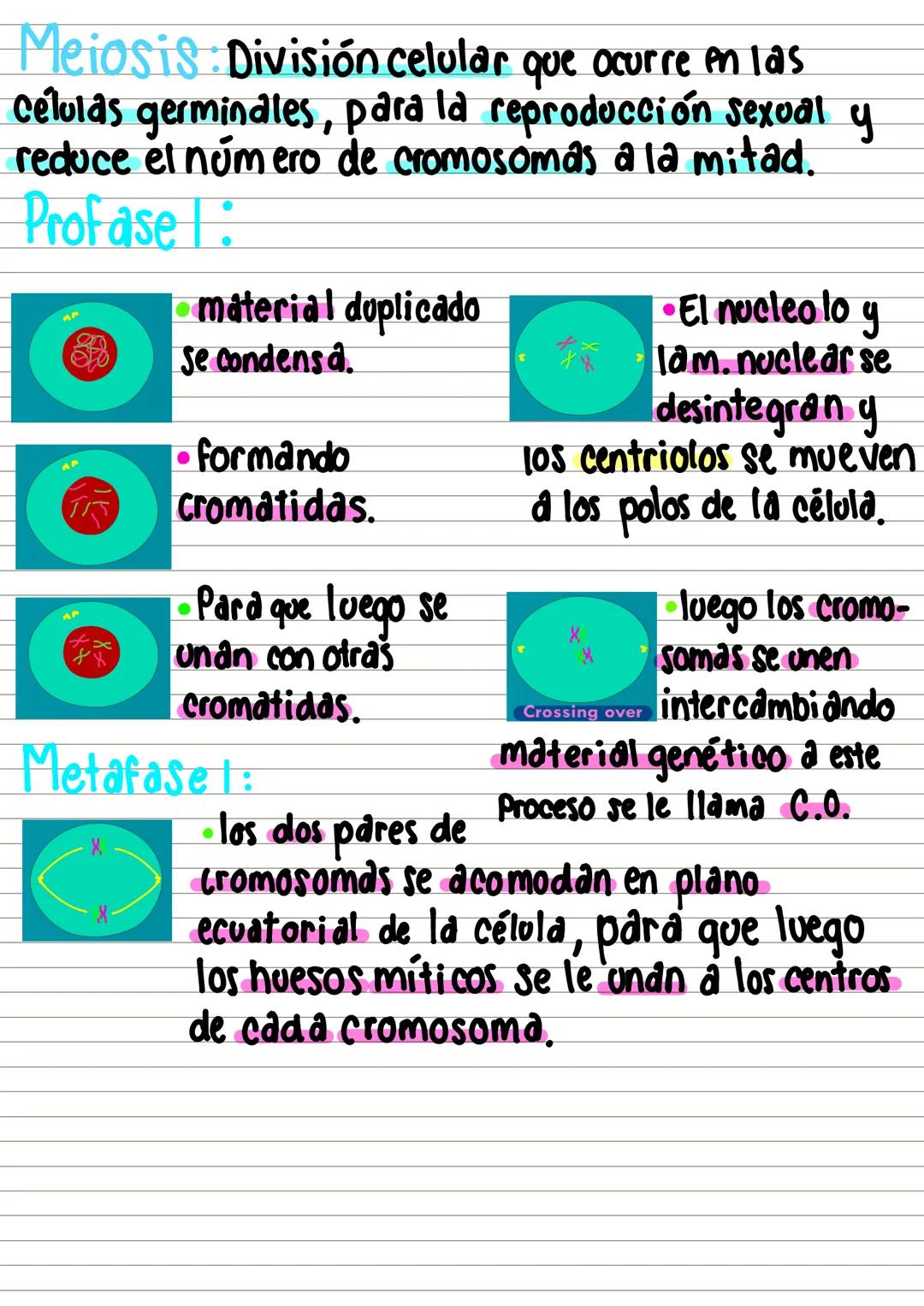 #célula y c.celular
Unidadad funcional y estructural de
de los seres vivos.
Eucariotds
tipos Procariotas
Estructura:
Membrana: Se Compone d