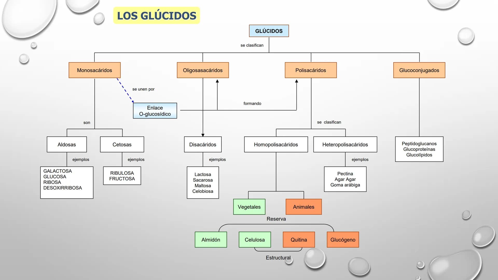 BIOQUÍMICA
Q.F.B. UNIDAD III:
CARBOHIDRATOS # BIOMOLÉCULAS El estudio de la biología a nivel molecular se denomina Bioquímica.
La mayoría d
