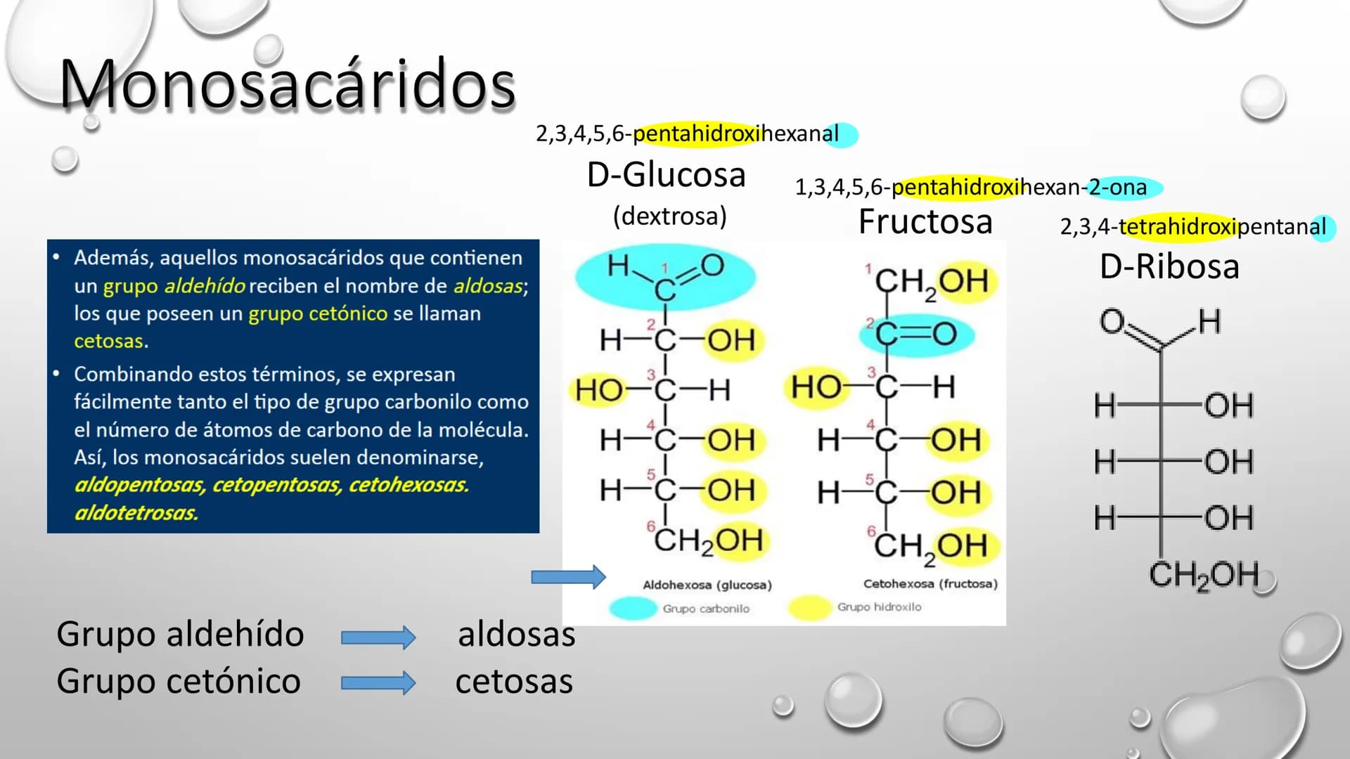BIOQUÍMICA
Q.F.B. UNIDAD III:
CARBOHIDRATOS # BIOMOLÉCULAS El estudio de la biología a nivel molecular se denomina Bioquímica.
La mayoría d