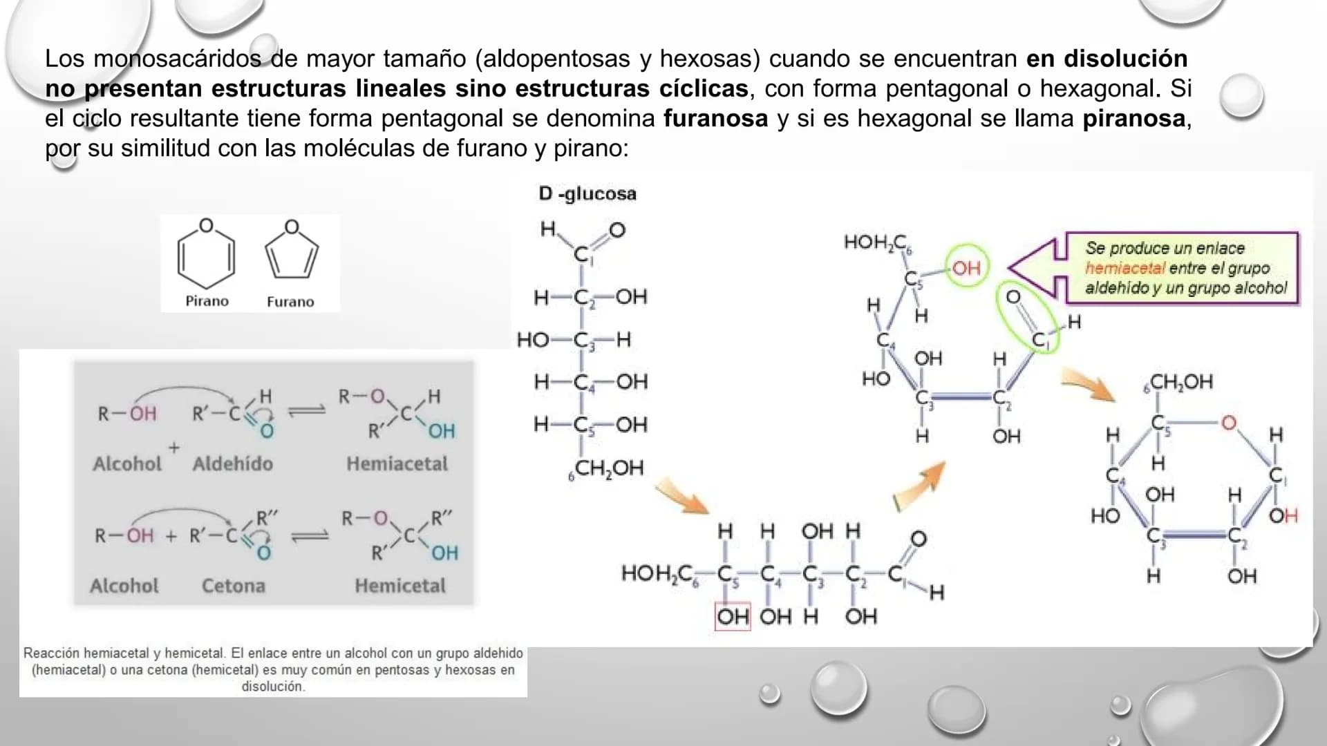 BIOQUÍMICA
Q.F.B. UNIDAD III:
CARBOHIDRATOS # BIOMOLÉCULAS El estudio de la biología a nivel molecular se denomina Bioquímica.
La mayoría d