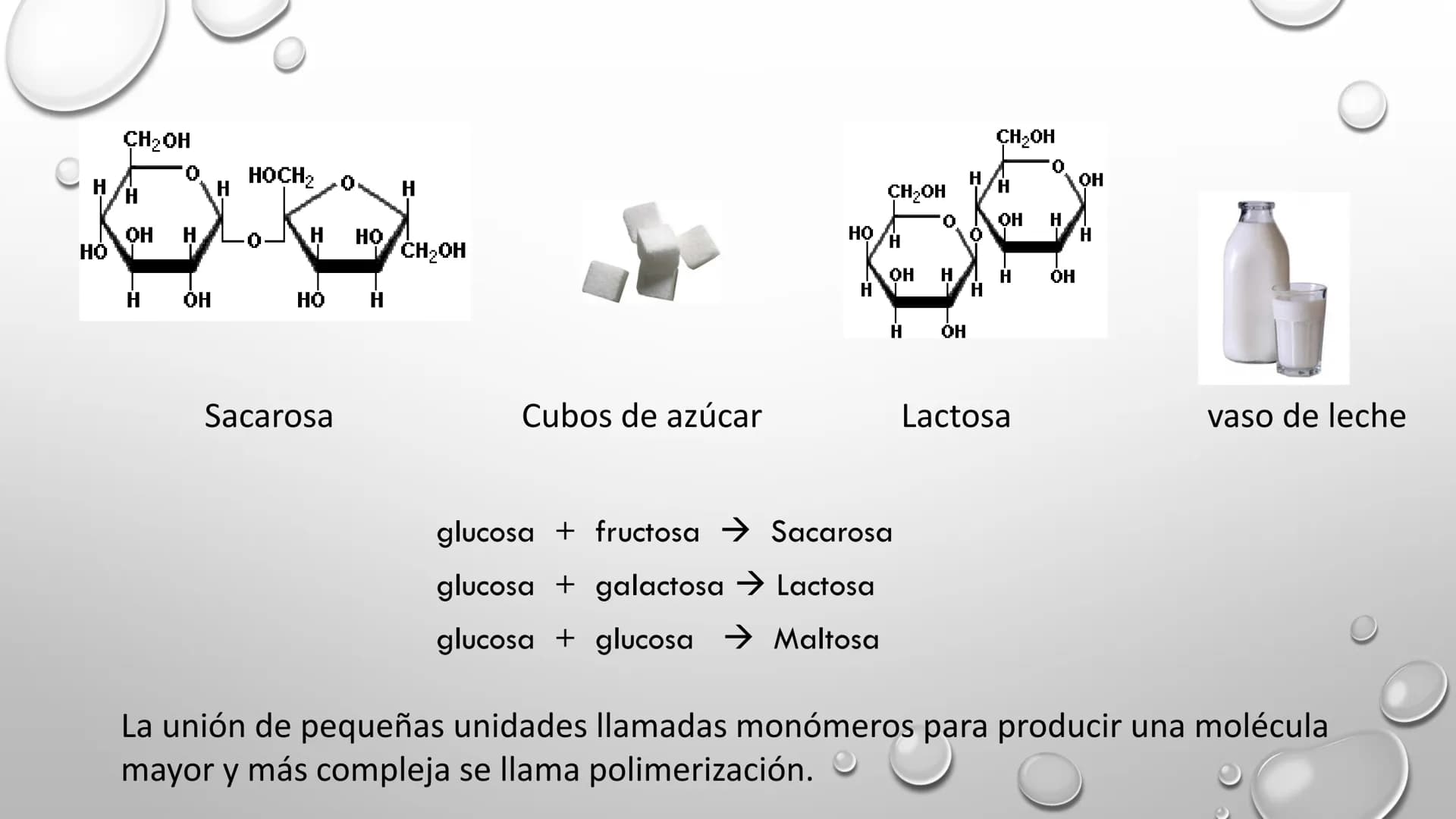 BIOQUÍMICA
Q.F.B. UNIDAD III:
CARBOHIDRATOS # BIOMOLÉCULAS El estudio de la biología a nivel molecular se denomina Bioquímica.
La mayoría d