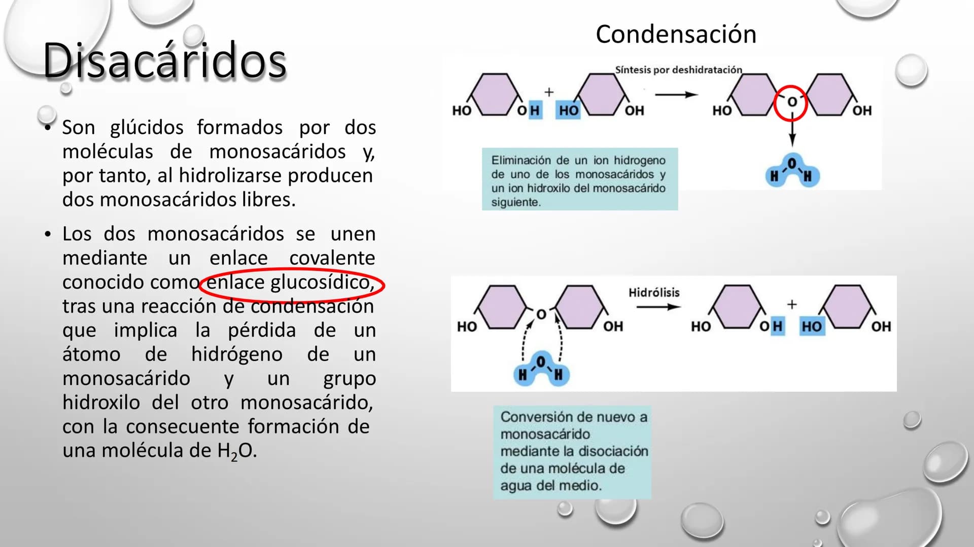 BIOQUÍMICA
Q.F.B. UNIDAD III:
CARBOHIDRATOS # BIOMOLÉCULAS El estudio de la biología a nivel molecular se denomina Bioquímica.
La mayoría d