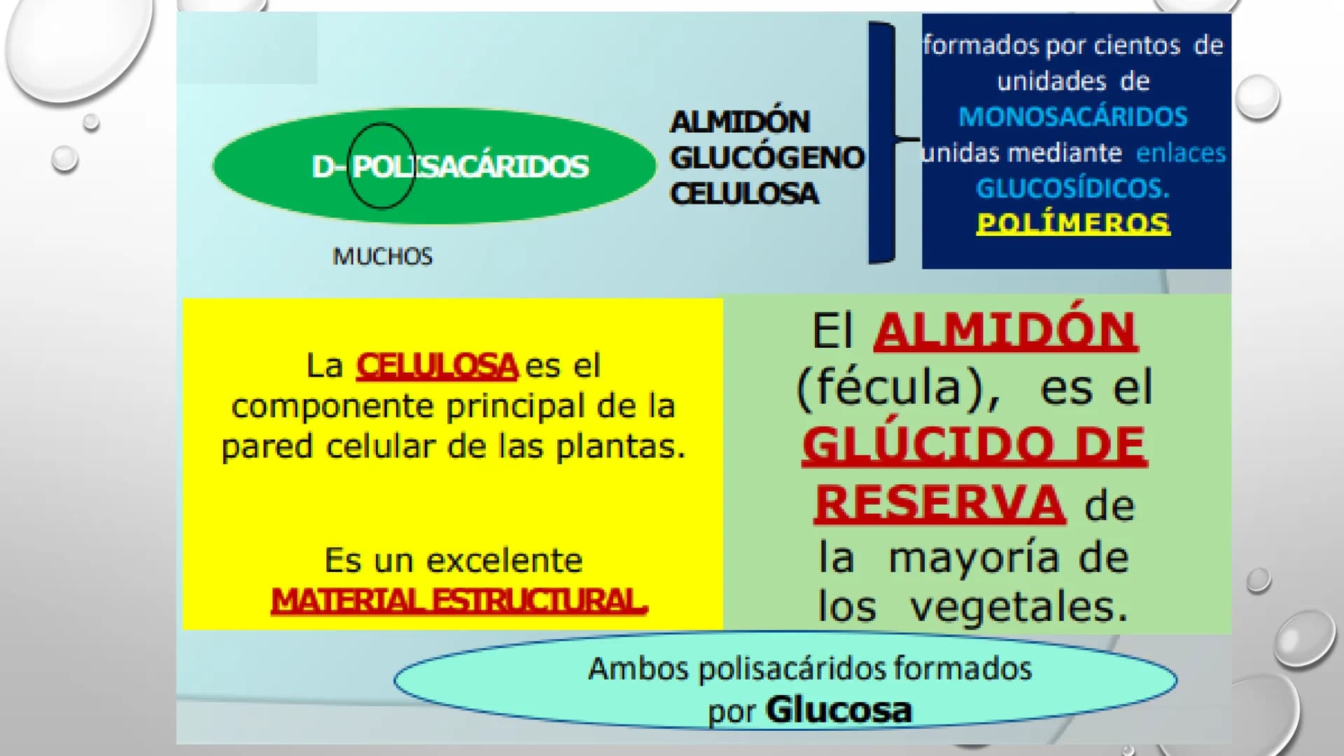 BIOQUÍMICA
Q.F.B. UNIDAD III:
CARBOHIDRATOS # BIOMOLÉCULAS El estudio de la biología a nivel molecular se denomina Bioquímica.
La mayoría d