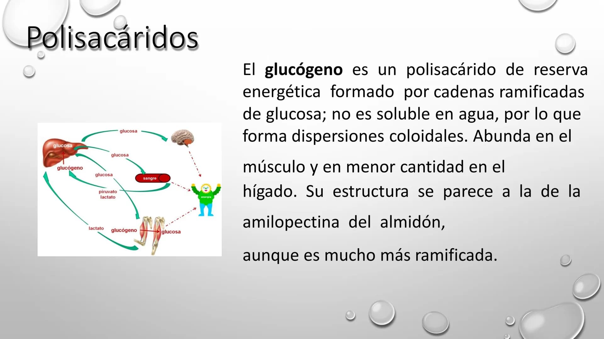 BIOQUÍMICA
Q.F.B. UNIDAD III:
CARBOHIDRATOS # BIOMOLÉCULAS El estudio de la biología a nivel molecular se denomina Bioquímica.
La mayoría d