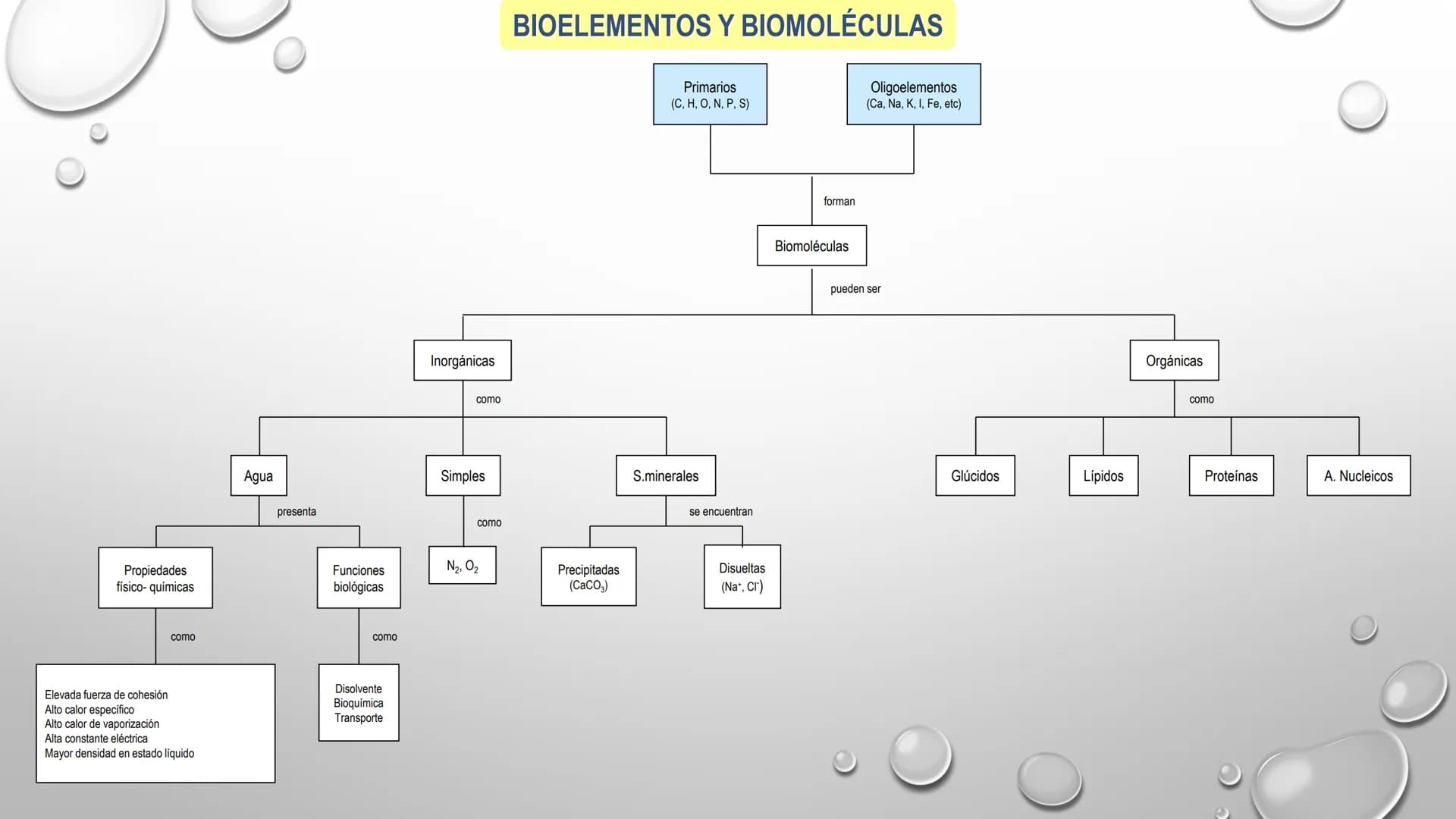 BIOQUÍMICA
Q.F.B. UNIDAD III:
CARBOHIDRATOS # BIOMOLÉCULAS El estudio de la biología a nivel molecular se denomina Bioquímica.
La mayoría d