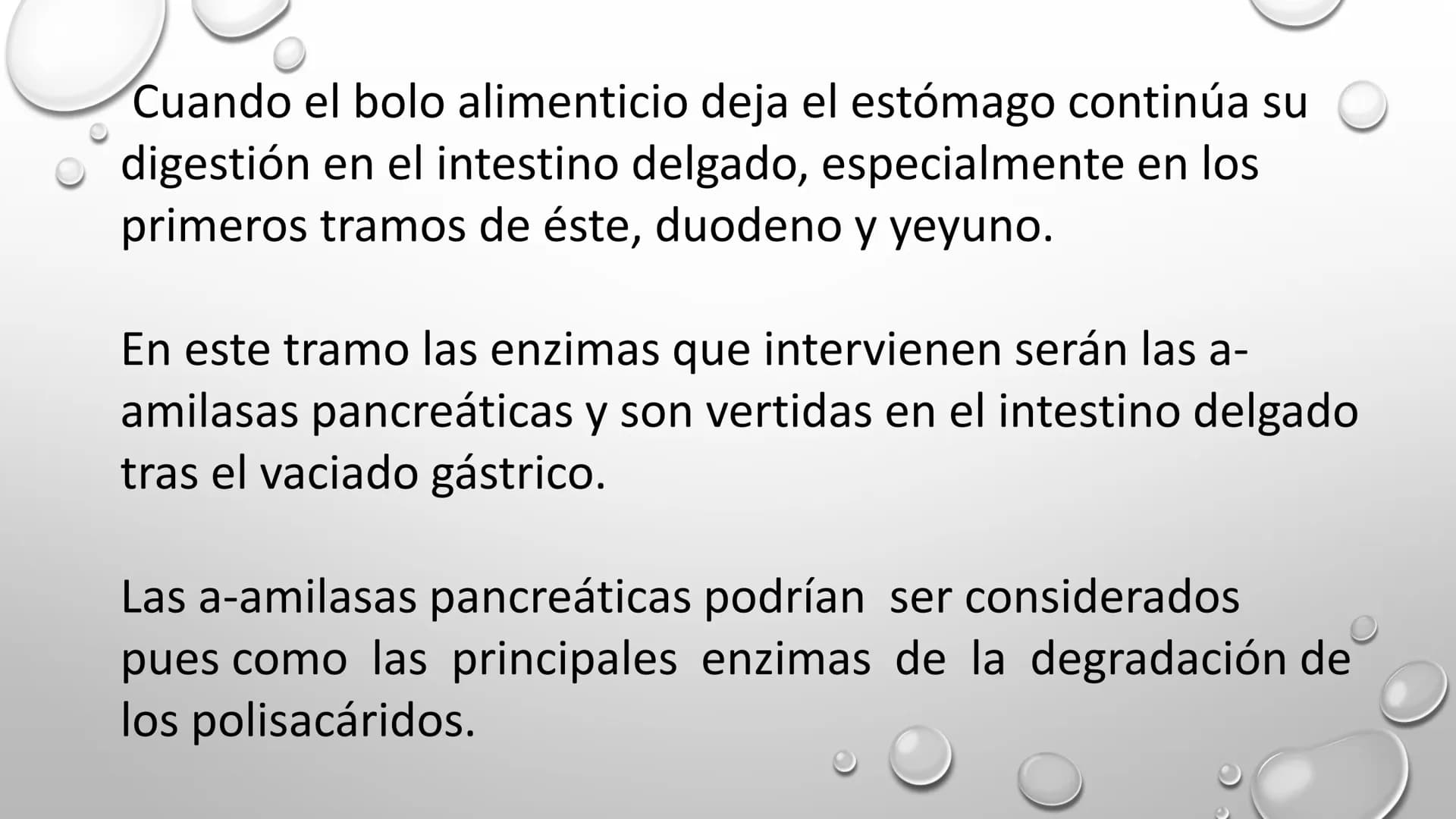 BIOQUÍMICA
Q.F.B. UNIDAD III:
CARBOHIDRATOS # BIOMOLÉCULAS El estudio de la biología a nivel molecular se denomina Bioquímica.
La mayoría d