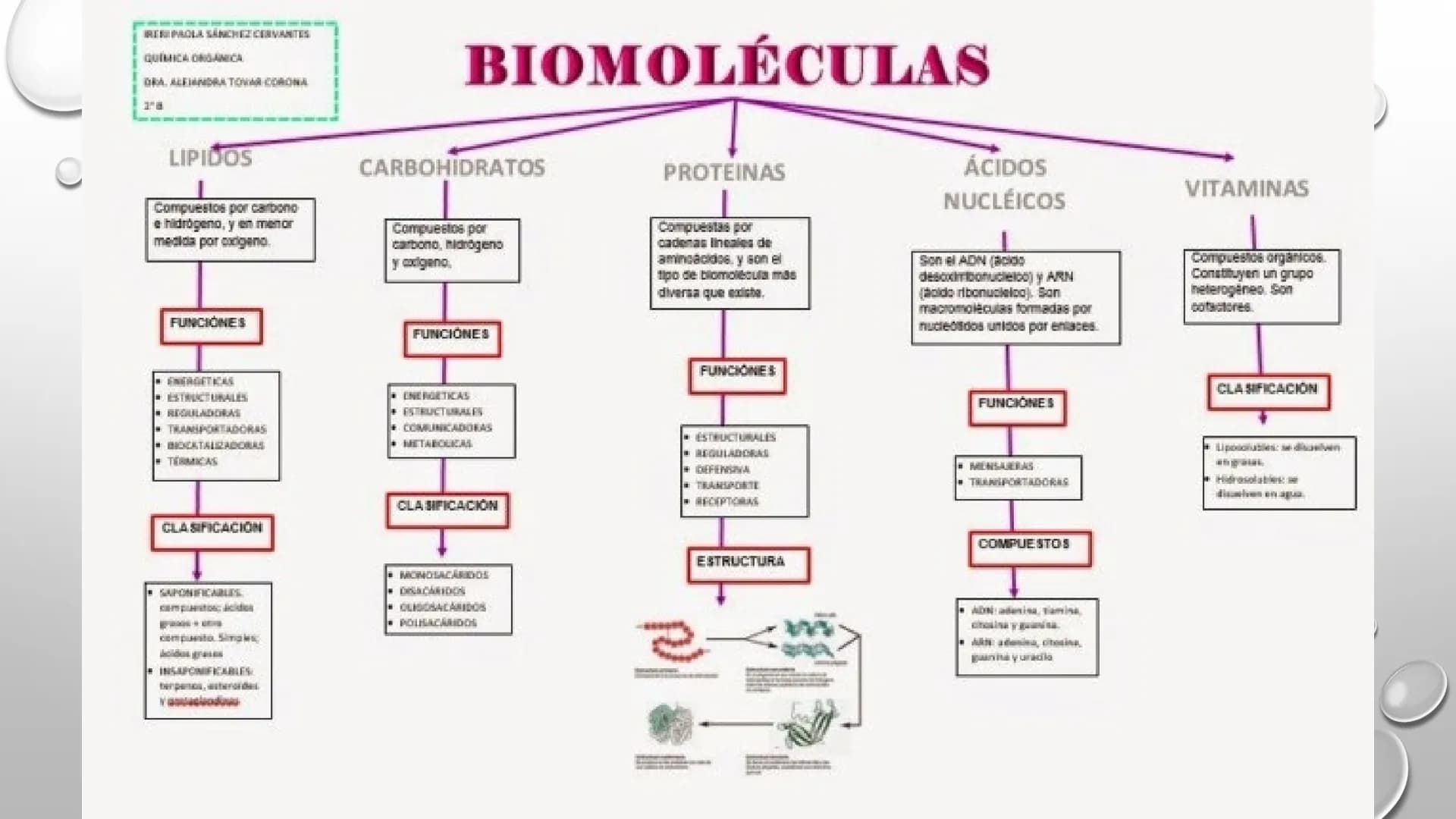 BIOQUÍMICA
Q.F.B. UNIDAD III:
CARBOHIDRATOS # BIOMOLÉCULAS El estudio de la biología a nivel molecular se denomina Bioquímica.
La mayoría d