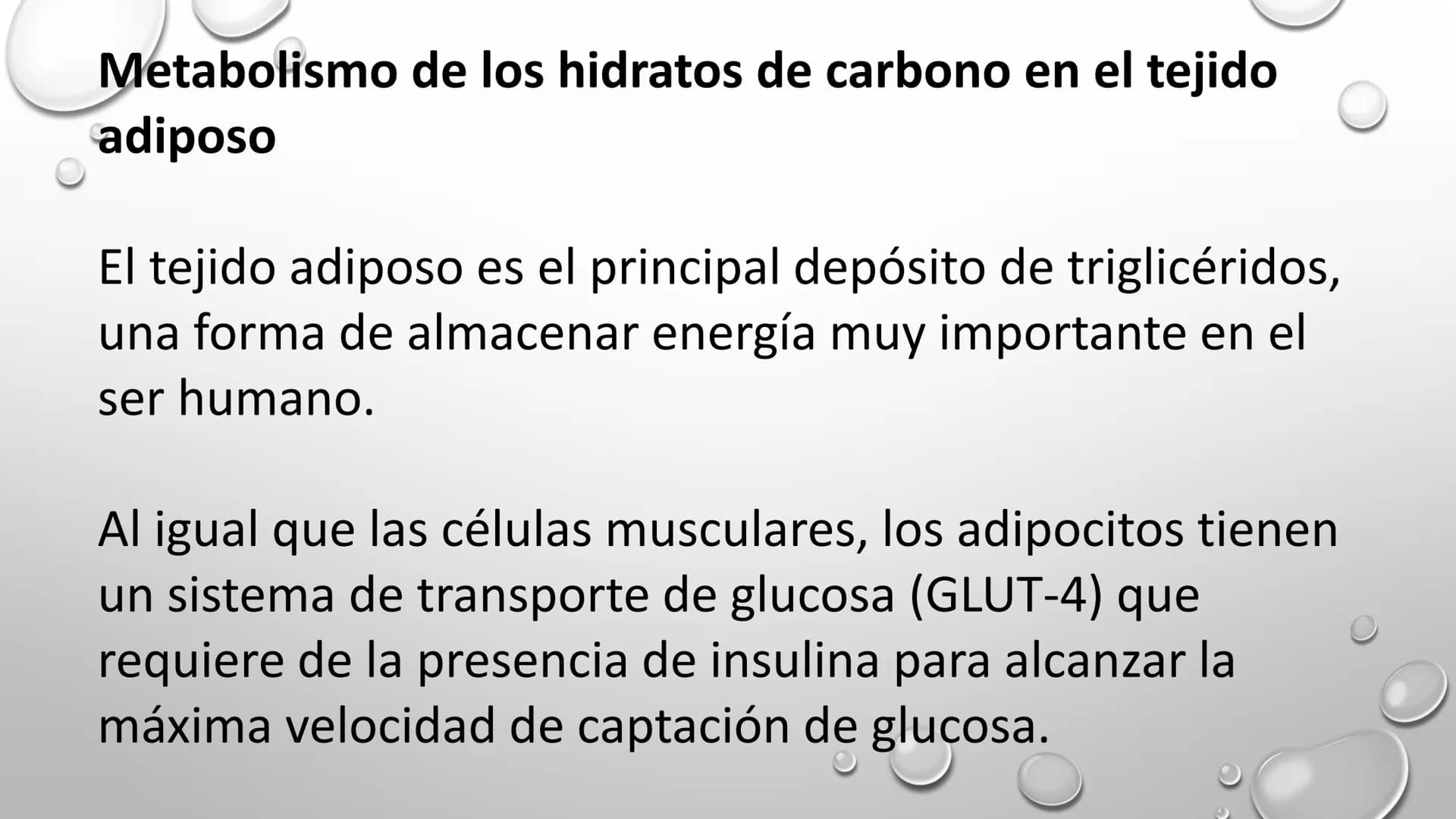 BIOQUÍMICA
Q.F.B. UNIDAD III:
CARBOHIDRATOS # BIOMOLÉCULAS El estudio de la biología a nivel molecular se denomina Bioquímica.
La mayoría d