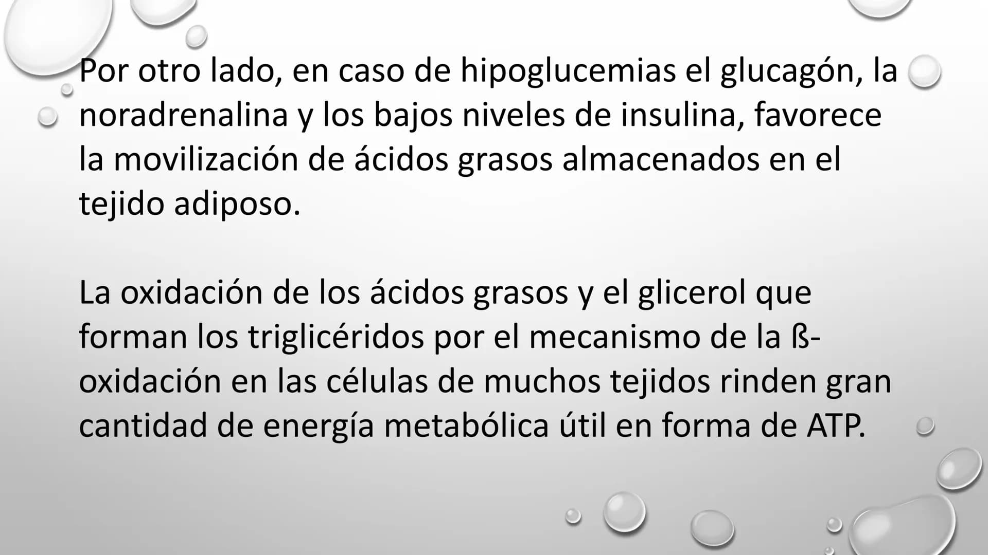 BIOQUÍMICA
Q.F.B. UNIDAD III:
CARBOHIDRATOS # BIOMOLÉCULAS El estudio de la biología a nivel molecular se denomina Bioquímica.
La mayoría d