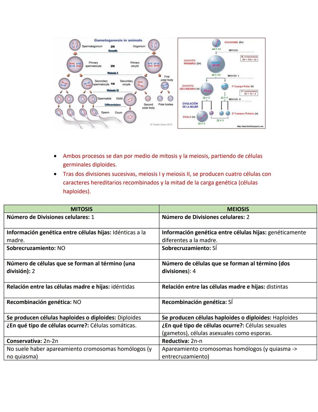# 1. EL CICLO CELULAR
Repaso Examen 2 Biología
Conocimientos Previos
* Las células del cuerpo humano se reproducen por este(os) proceso