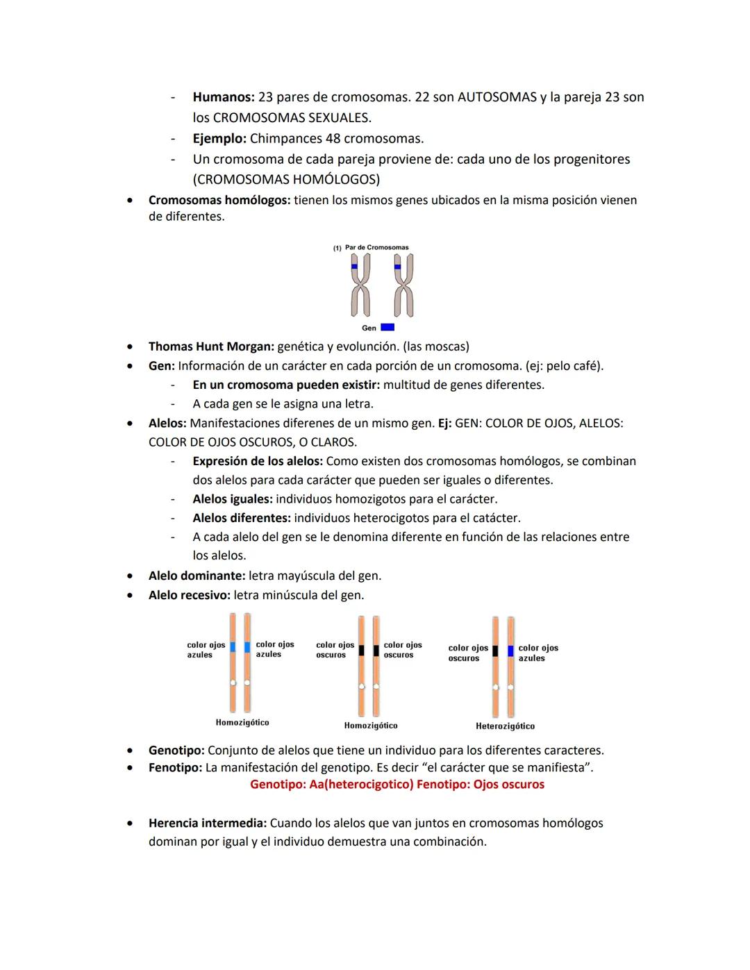 # 1. EL CICLO CELULAR
Repaso Examen 2 Biología
Conocimientos Previos
* Las células del cuerpo humano se reproducen por este(os) proceso