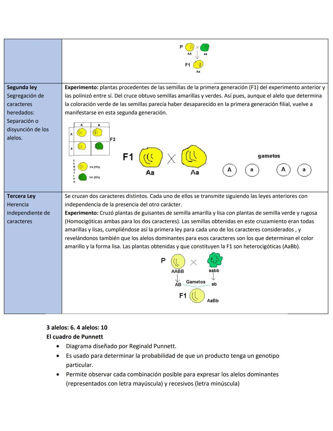 # 1. EL CICLO CELULAR
Repaso Examen 2 Biología
Conocimientos Previos
* Las células del cuerpo humano se reproducen por este(os) proceso